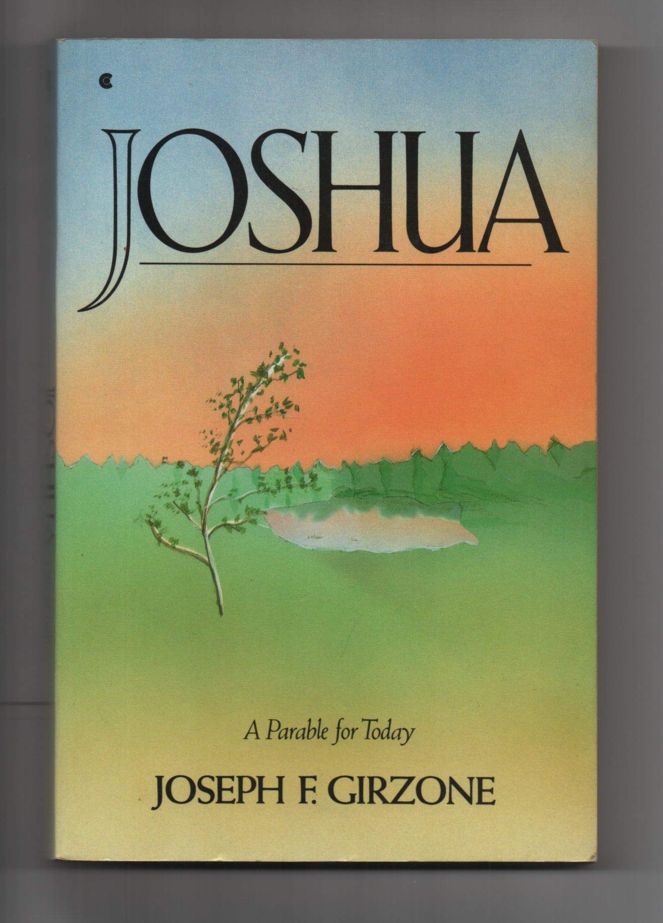 Joshua: A Parable for Today The Happy Book Stack
