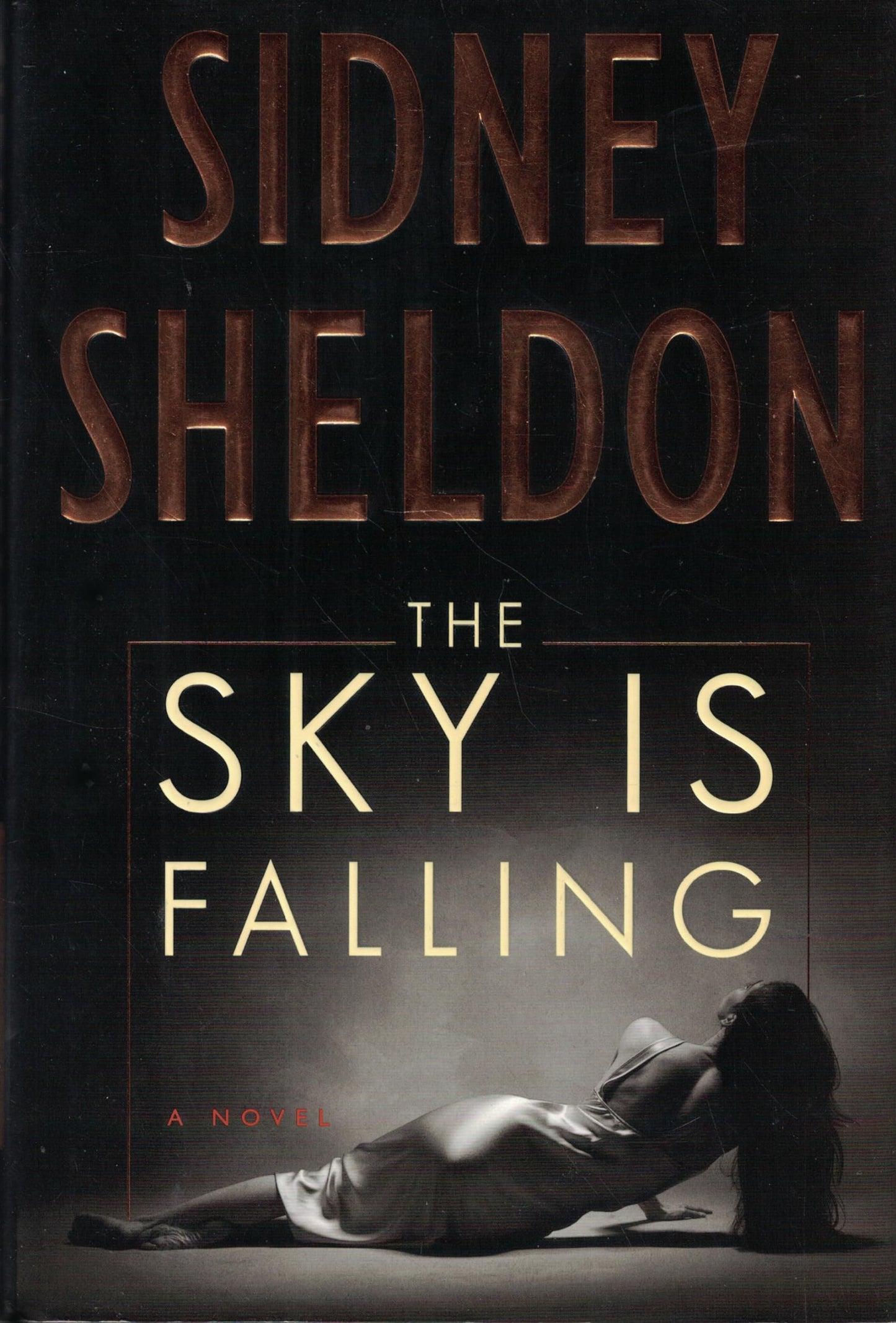 The Sky Is Falling: A Novel The Happy Book Stack