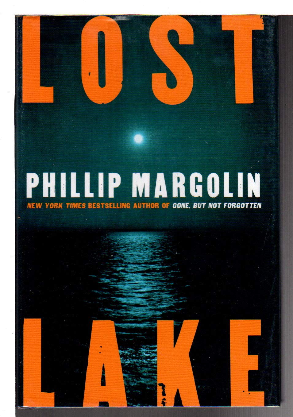 Lost Lake The Happy Book Stack