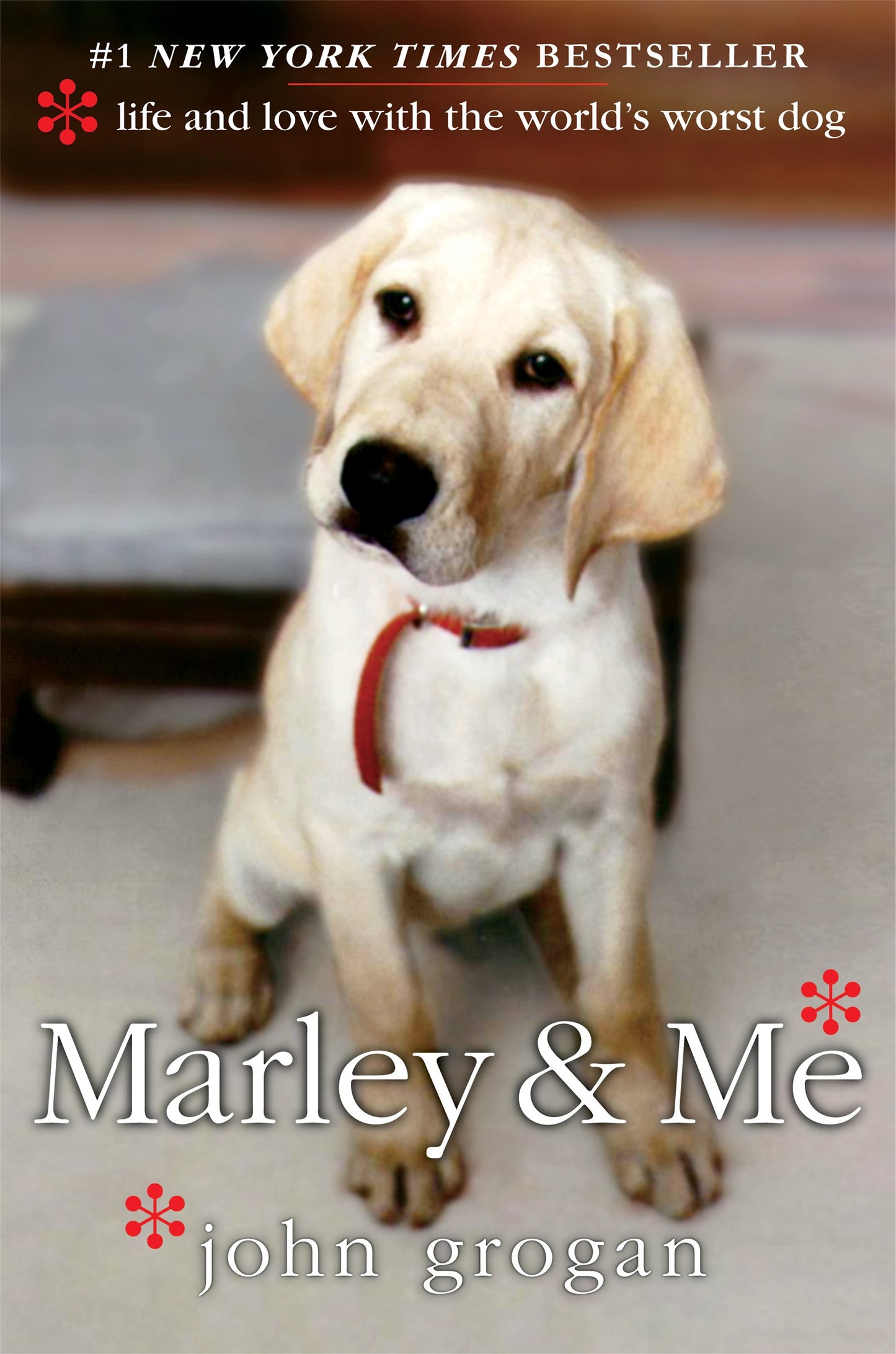 Marley & Me: Life and Love with the World's Worst Dog - 6824