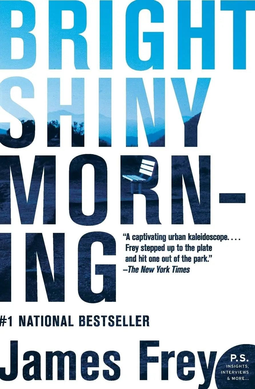 Bright Shiny Morning (P.S.) The Happy Book Stack