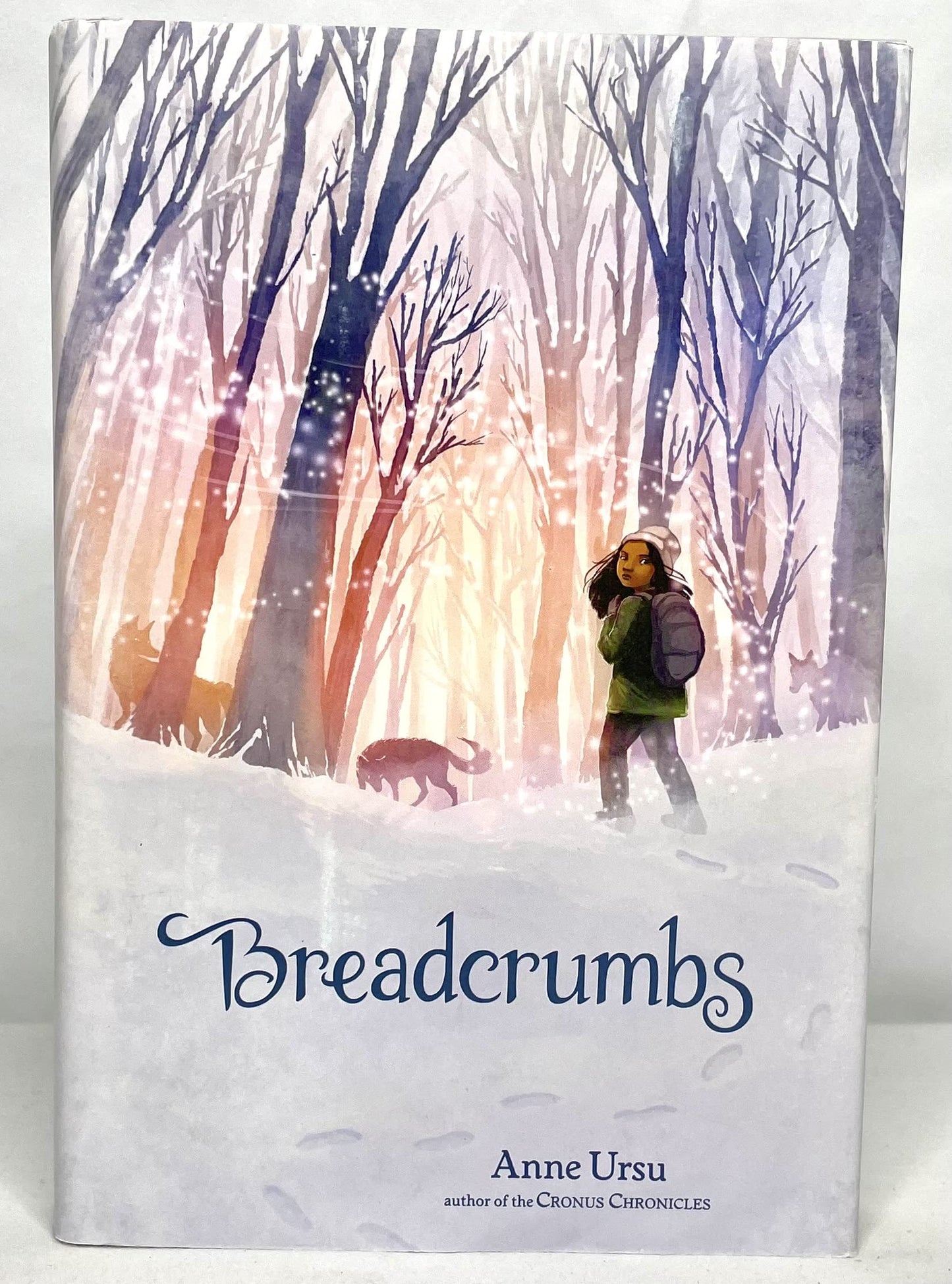 Breadcrumbs The Happy Book Stack