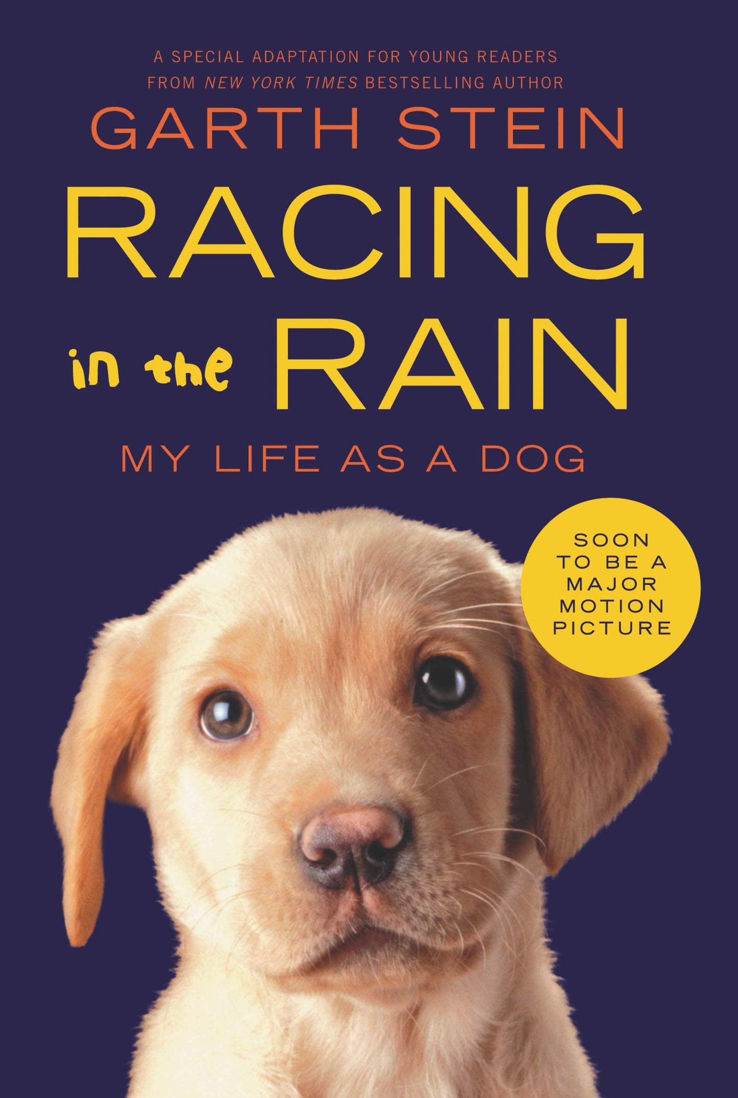 Racing in the Rain: My Life as a Dog The Happy Book Stack