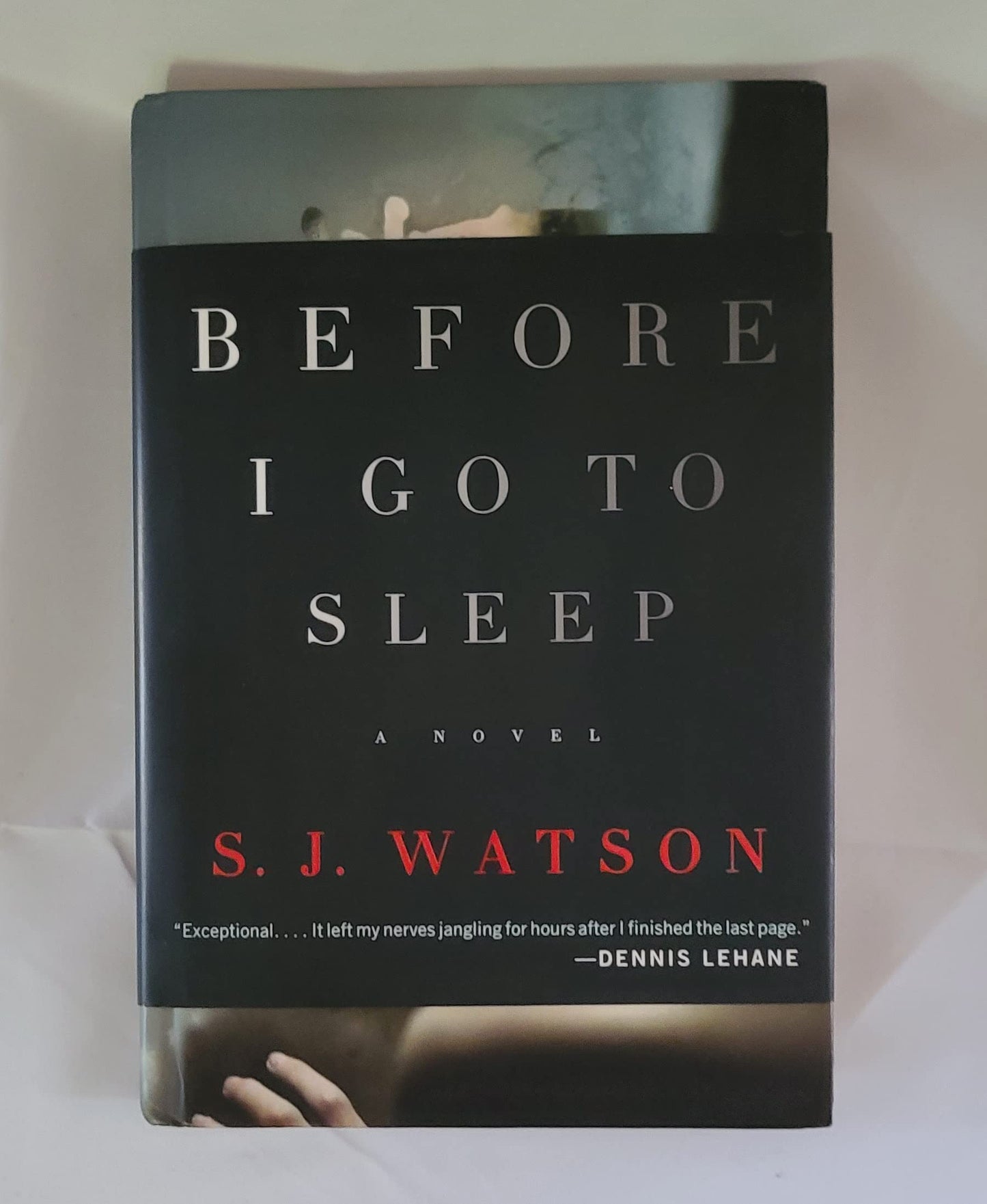 Before I Go to Sleep: A Novel The Happy Book Stack