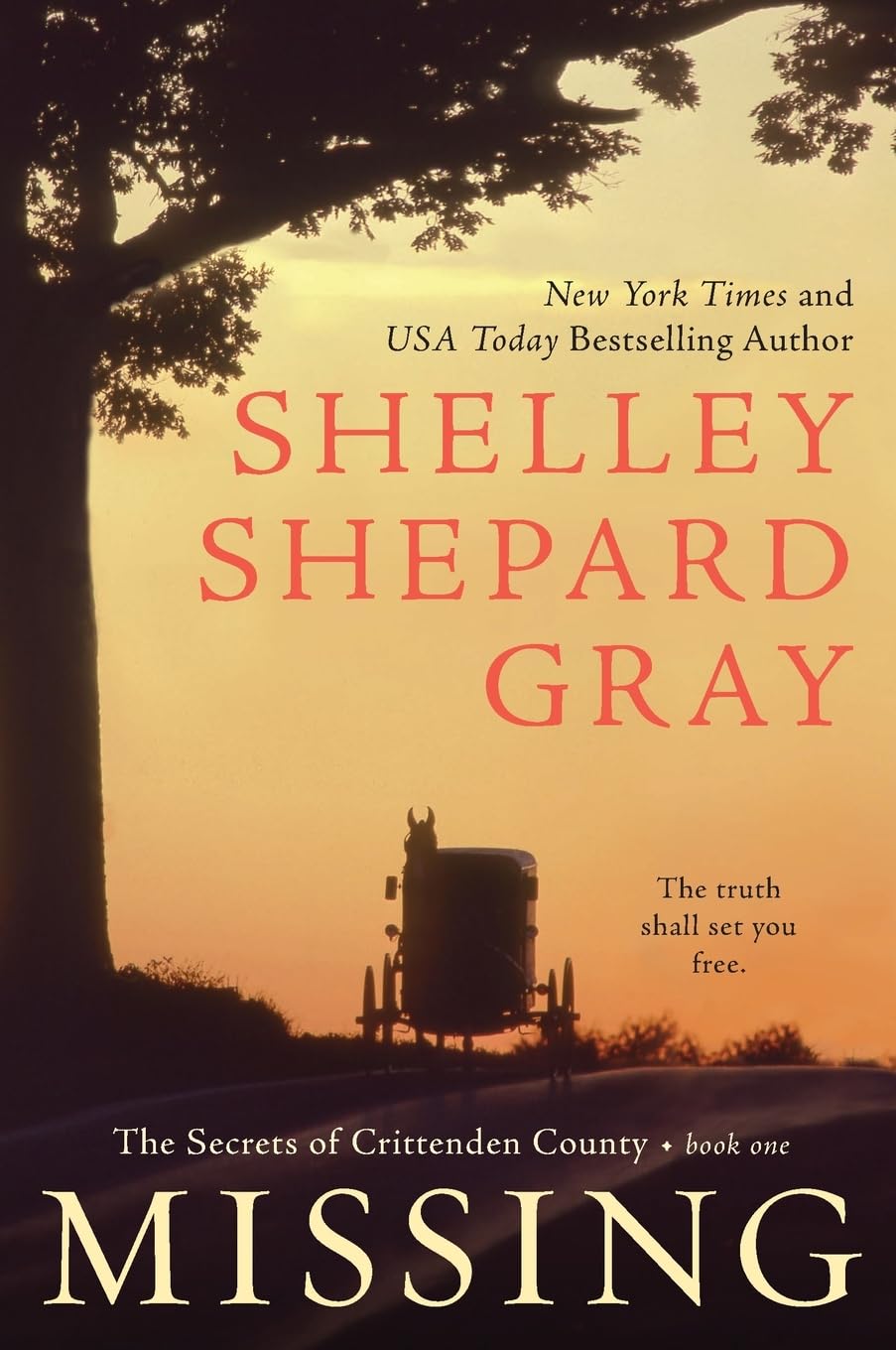 Missing: A Page-Turning Amish Suspense Romance Where Murder Awakens Faith and Unlikely Love (Secrets of Crittenden County, 1) The Happy Book Stack