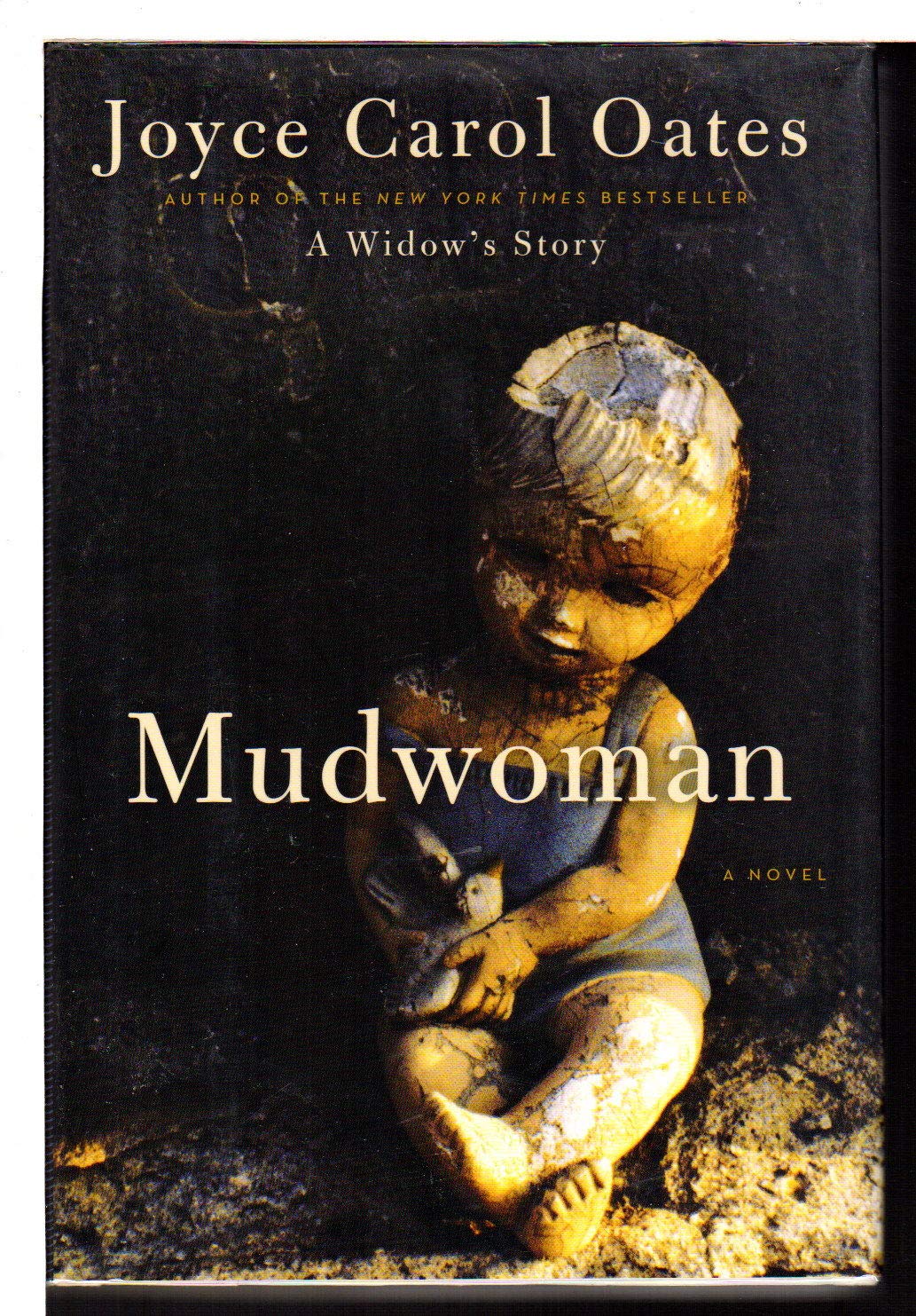Mudwoman: A Novel The Happy Book Stack
