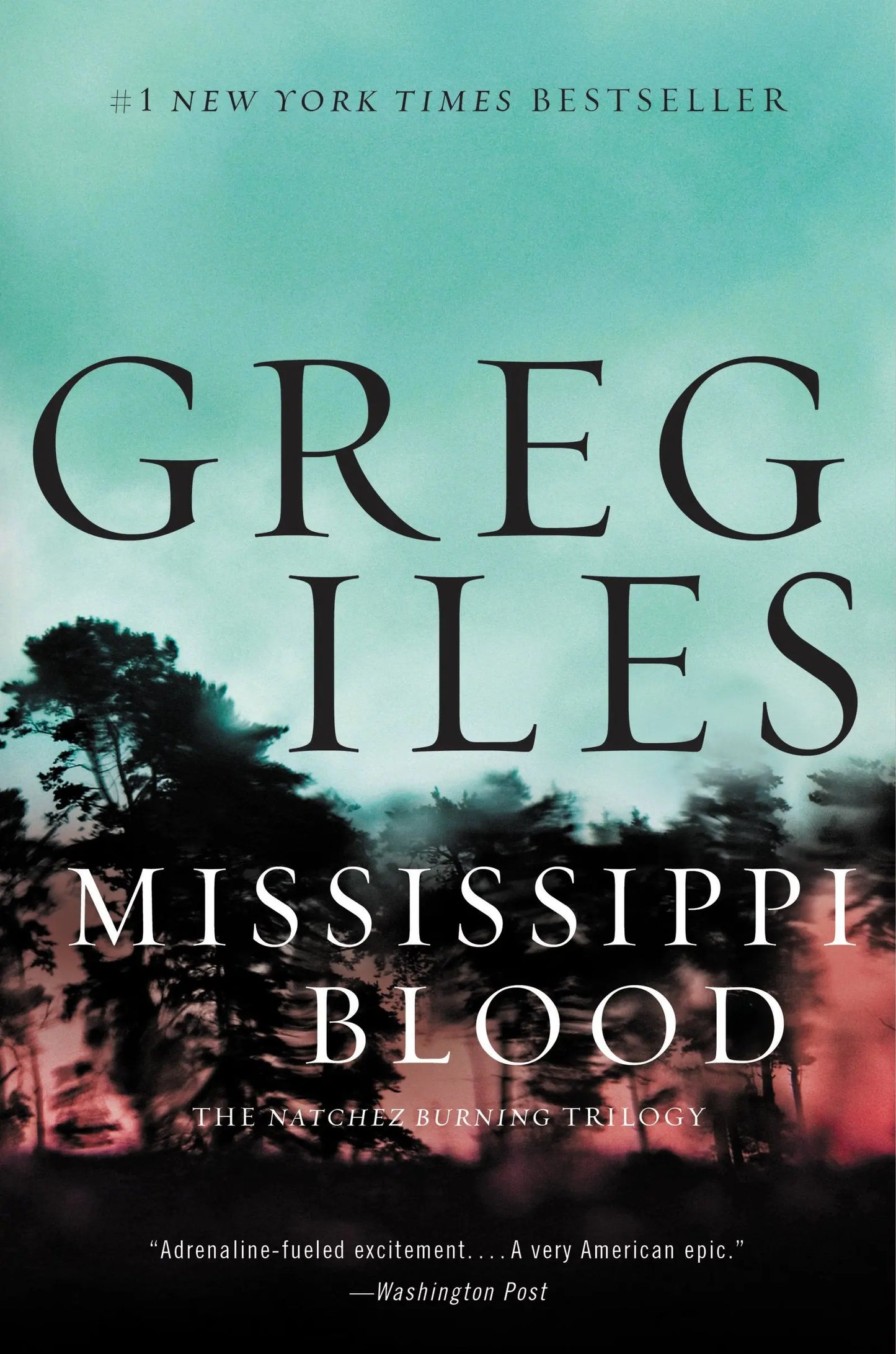 Mississippi Blood: A Novel (Penn Cage, 6) The Happy Book Stack