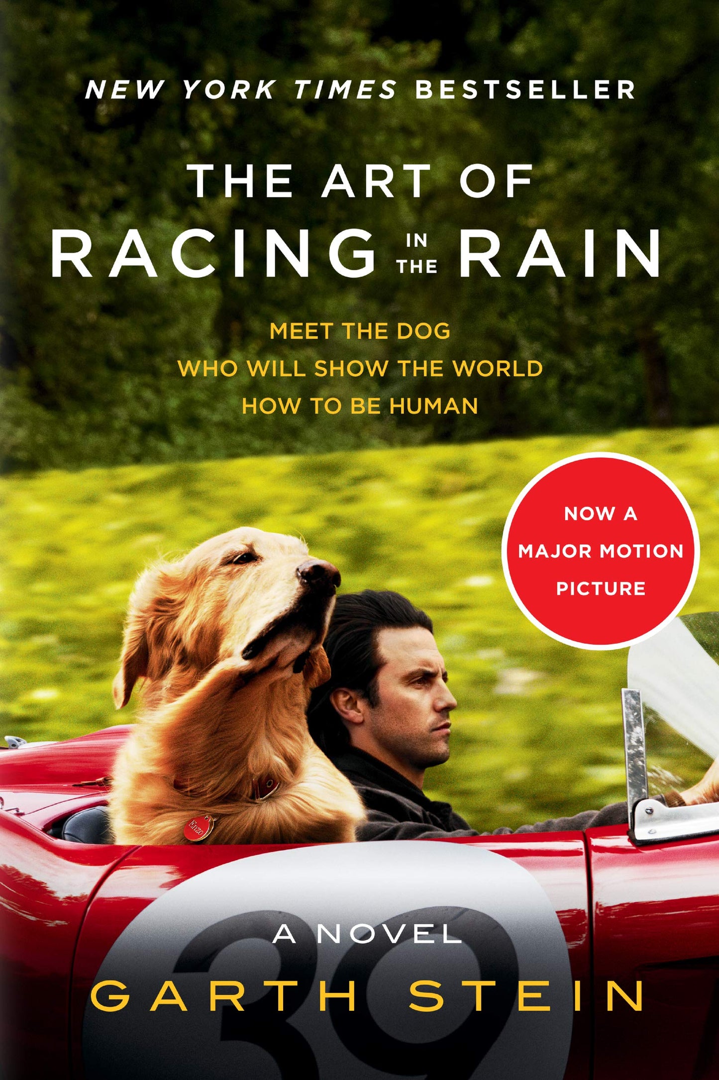 The Art of Racing in the Rain Tie-in: A Novel The Happy Book Stack
