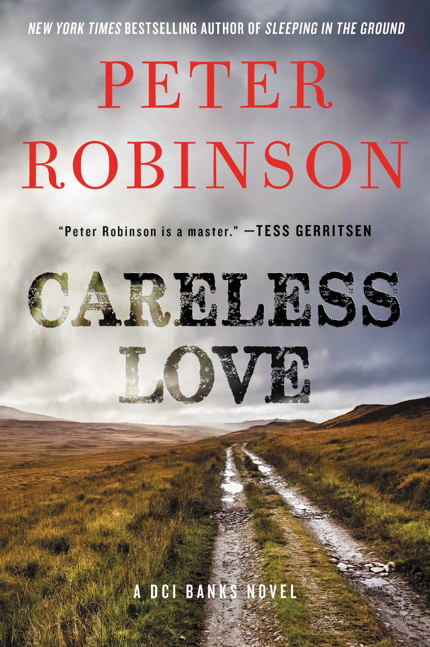 Careless Love: An Inspector Banks Novel – A Detective Mystery Where Two Suspicious Deaths Reveal an Old Enemy The Happy Book Stack