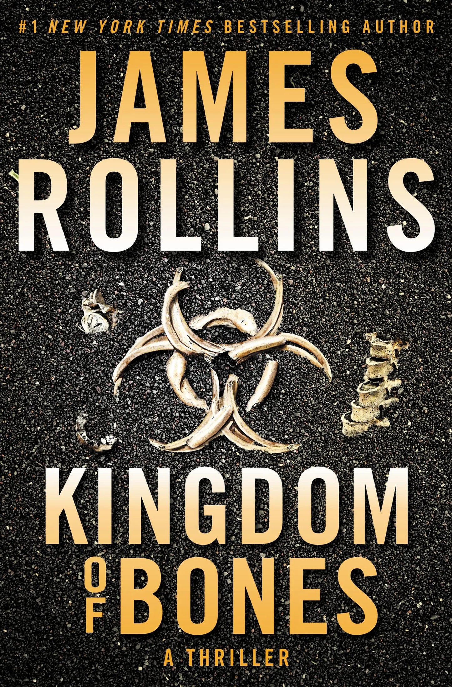 Kingdom of Bones: A Suspenseful Thriller of a Global Catastrophe in the Heart of Africa (Sigma Force, 16) The Happy Book Stack