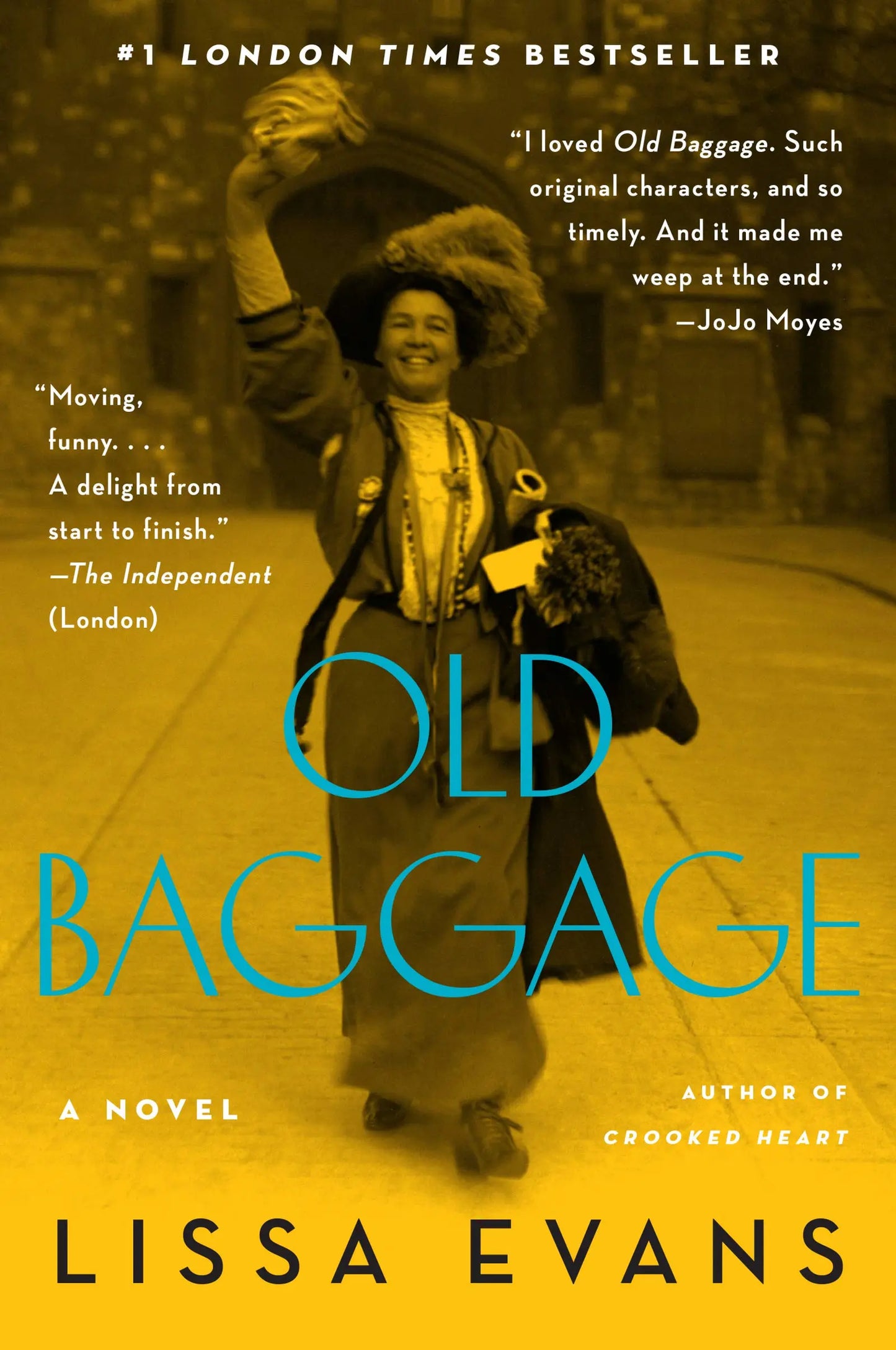 Old Baggage: A Novel The Happy Book Stack