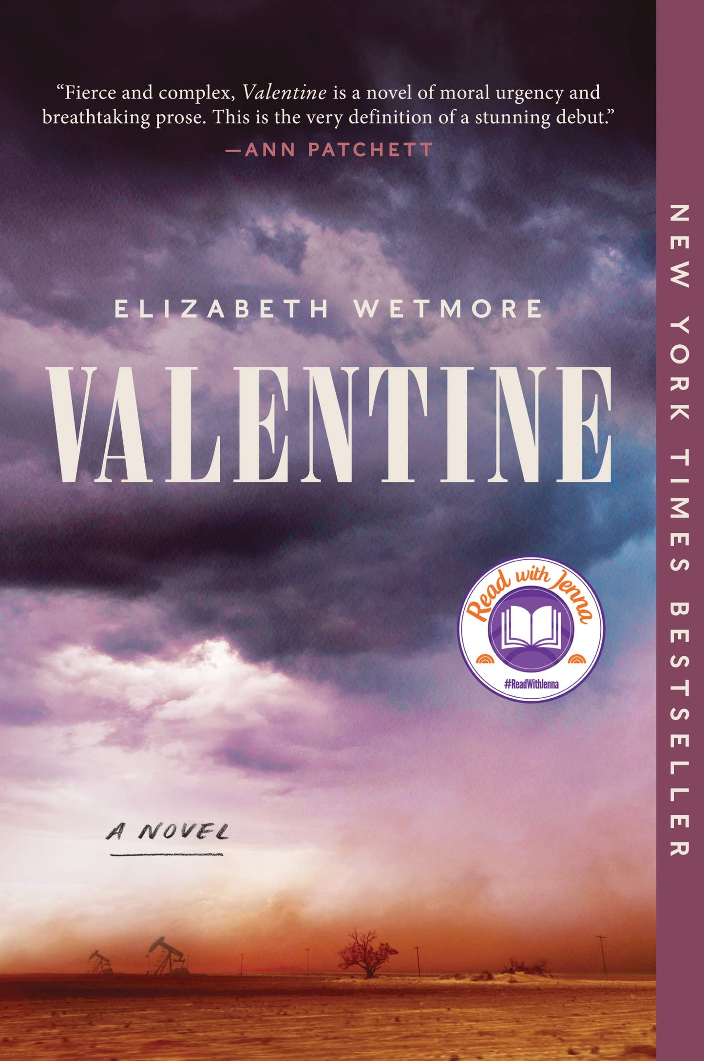 Valentine: A Novel The Happy Book Stack