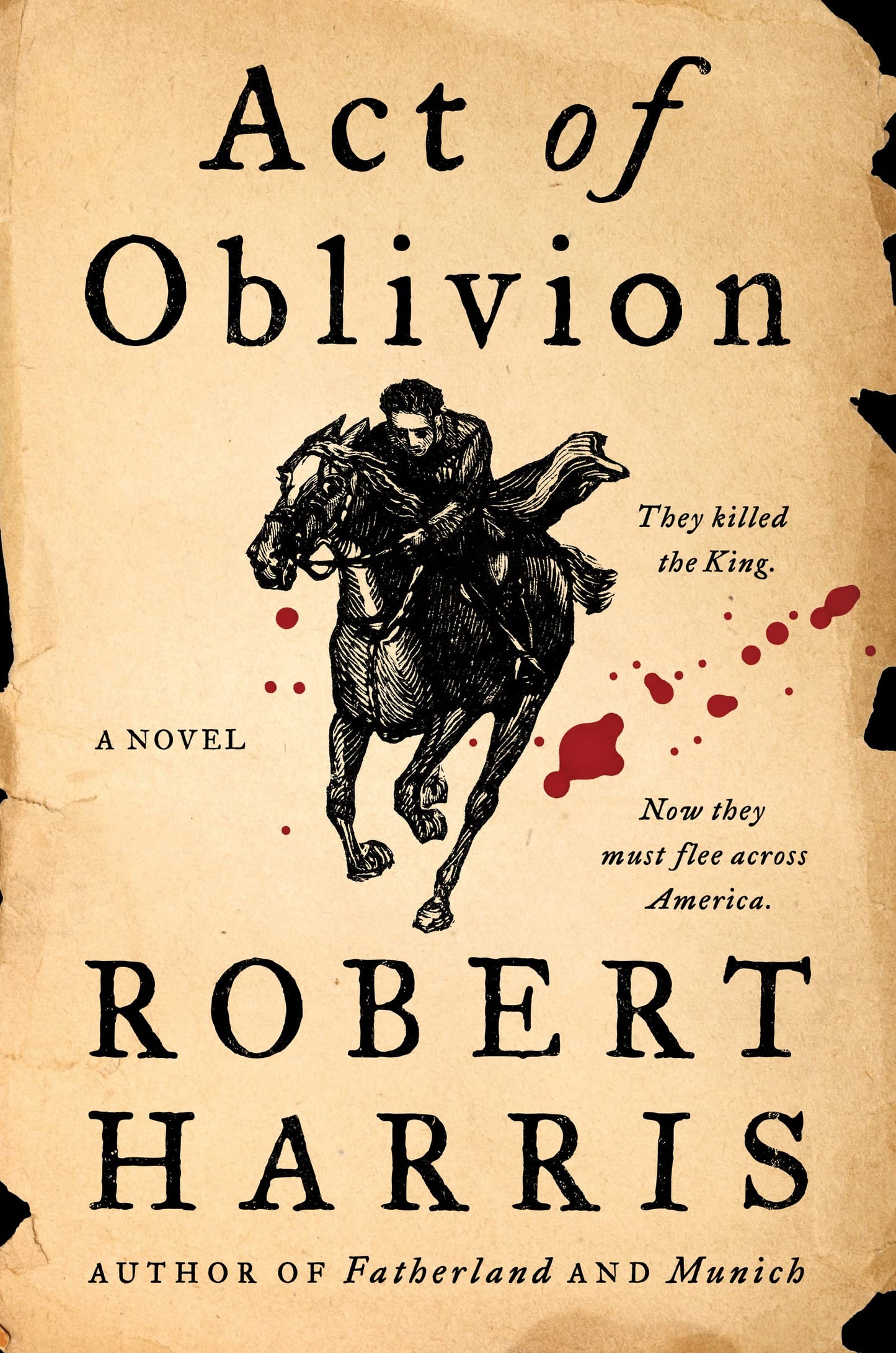 Act of Oblivion: A Novel The Happy Book Stack