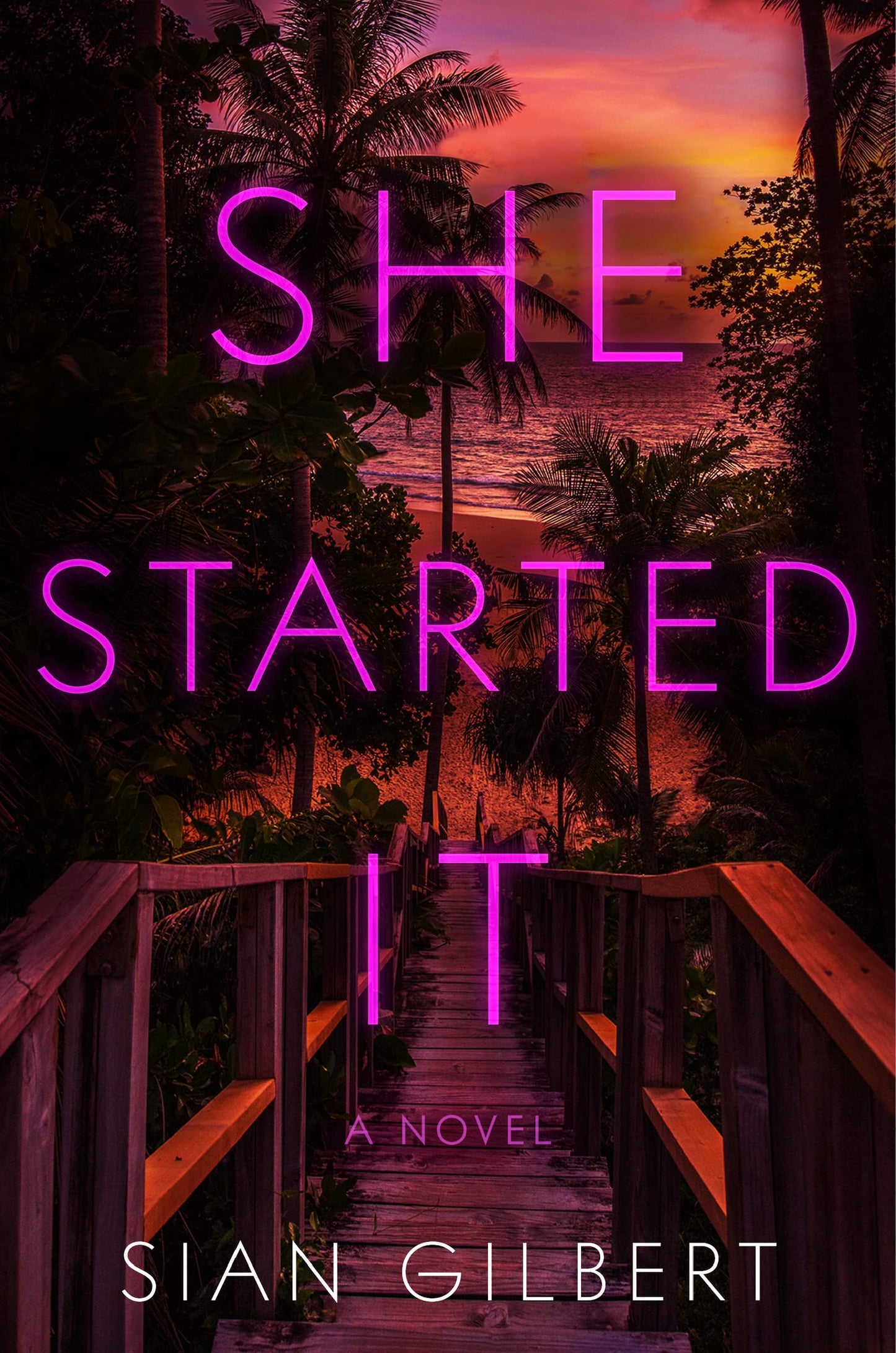 She Started It: A Novel The Happy Book Stack
