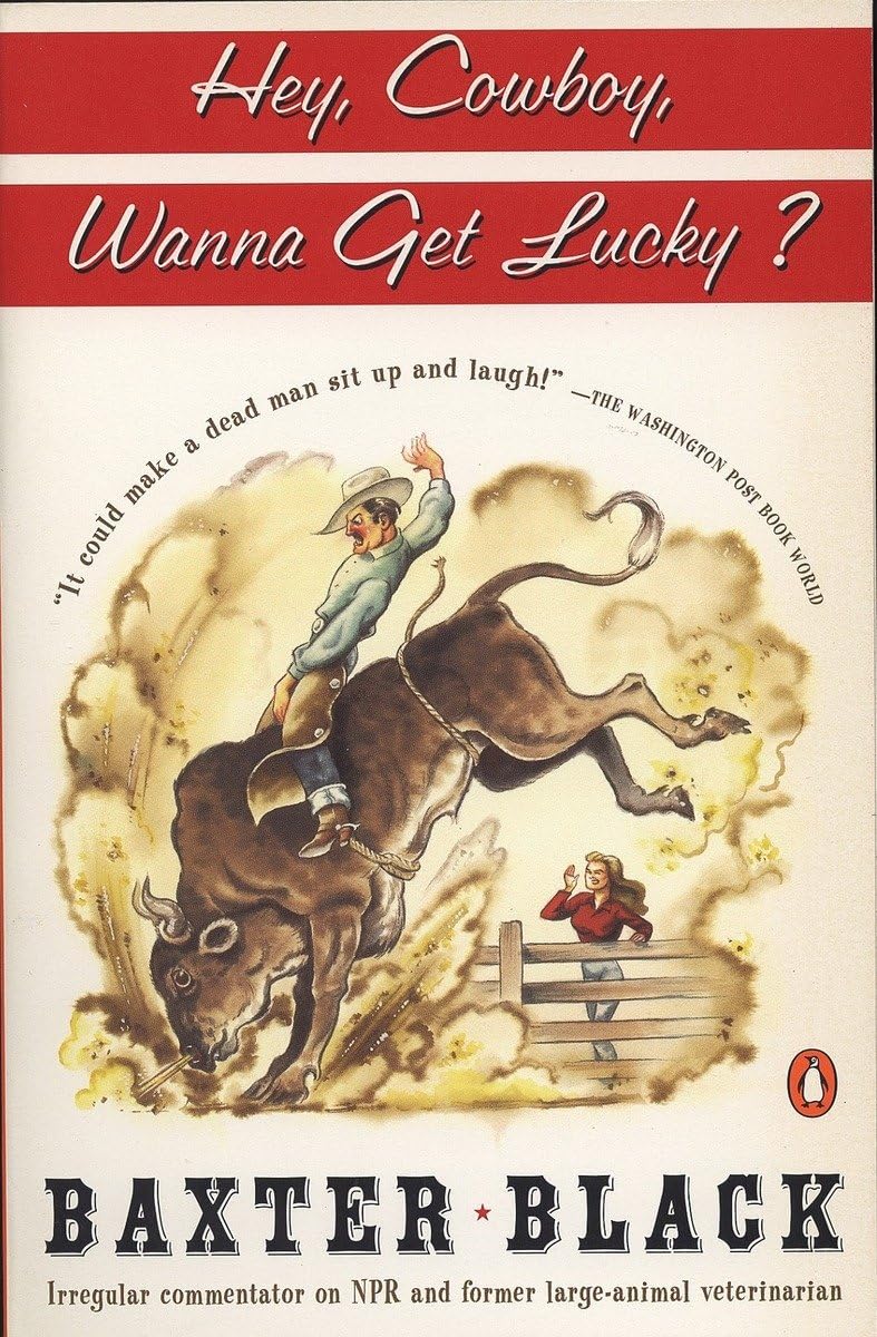 Hey Cowboy, Wanna Get Lucky? The Happy Book Stack