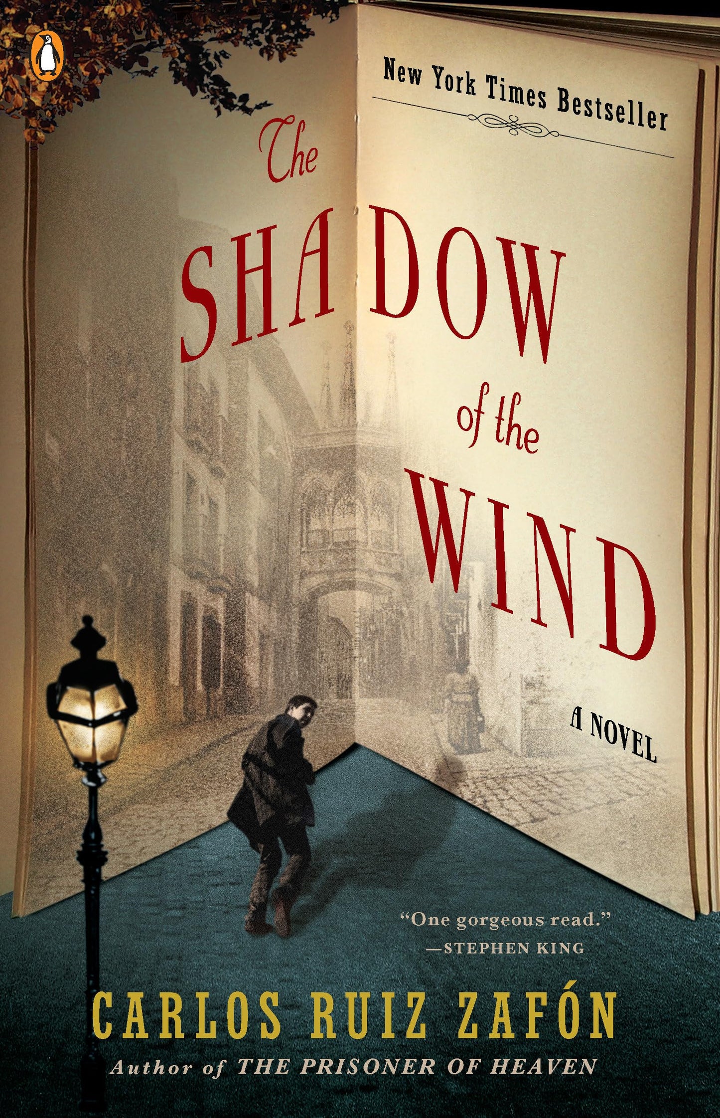 The Shadow of the Wind (The Cemetery of Forgotten Books) The Happy Book Stack