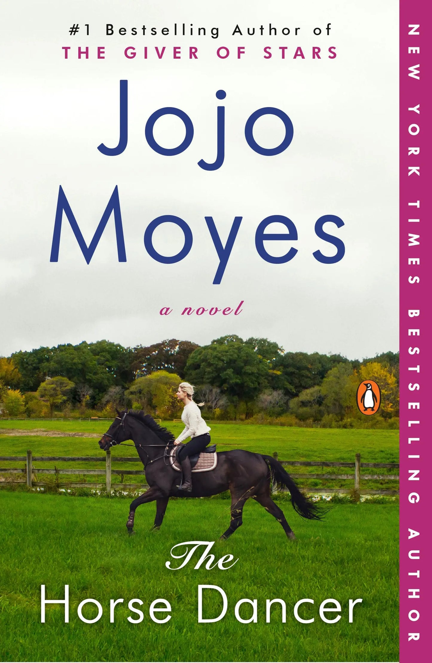 The Horse Dancer: A Novel The Happy Book Stack