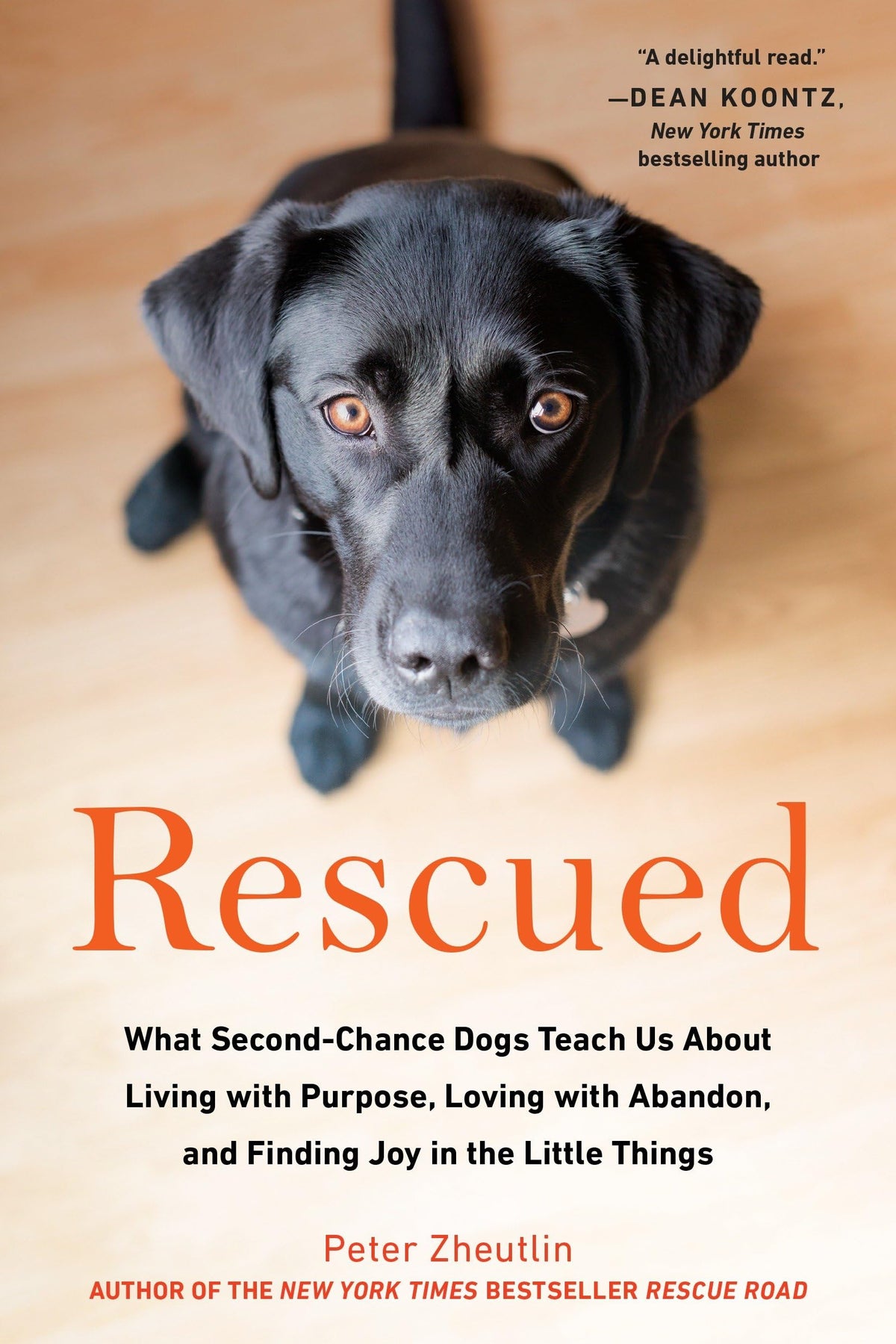 Rescued: What Second-Chance Dogs Teach Us About Living with Purpose, Loving with Abandon,and Finding Joy in the Little Things The Happy Book Stack
