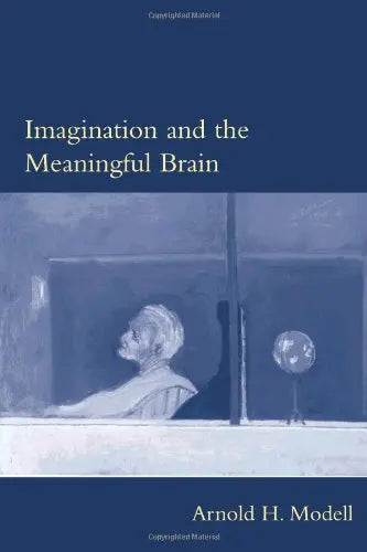 Imagination and the Meaningful Brain The Happy Book Stack