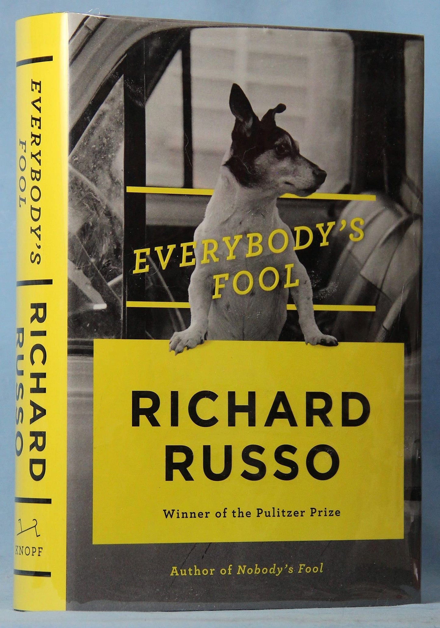 Everybody's Fool: A novel The Happy Book Stack