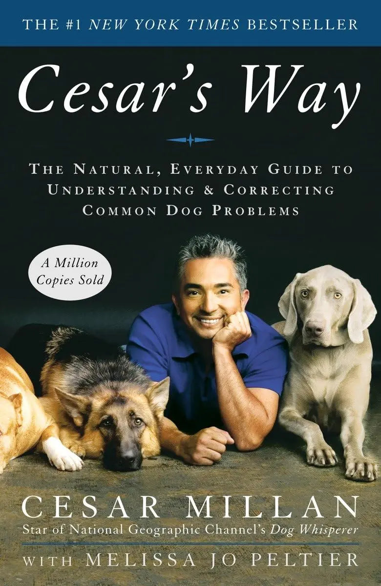 Cesar's Way: The Natural, Everyday Guide to Understanding & Correcting Common Dog Problems The Happy Book Stack