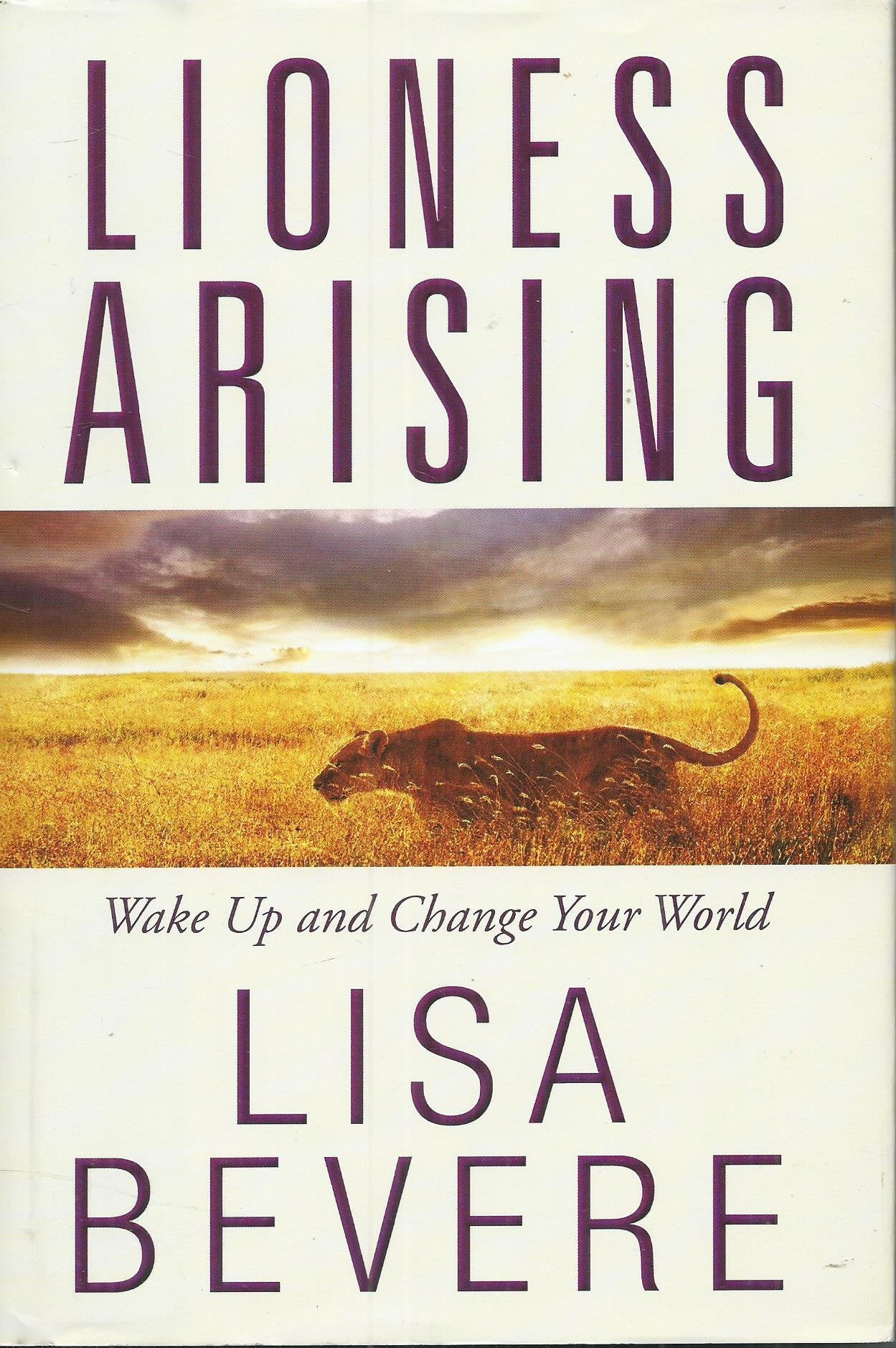 Lioness Arising: Wake Up and Change Your World The Happy Book Stack