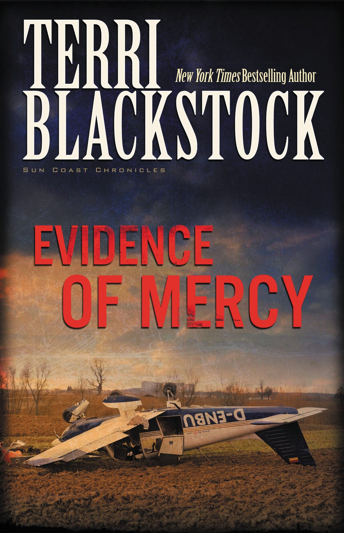 Evidence of Mercy The Happy Book Stack