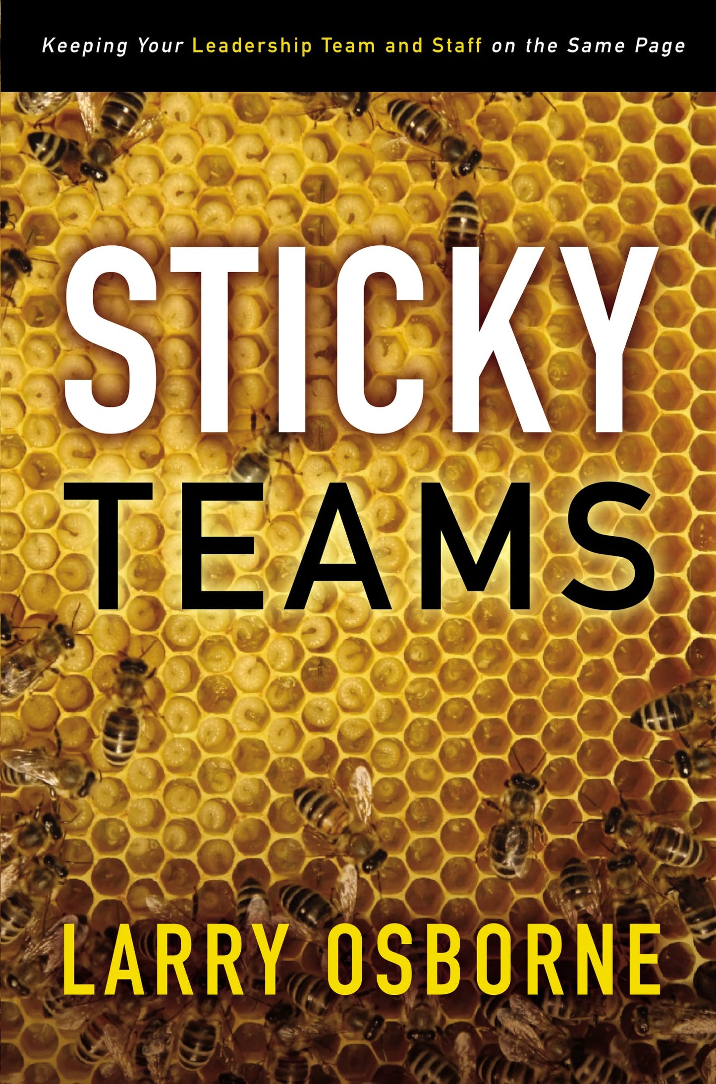 Sticky Teams: Keeping Your Leadership Team and Staff on the Same Page The Happy Book Stack