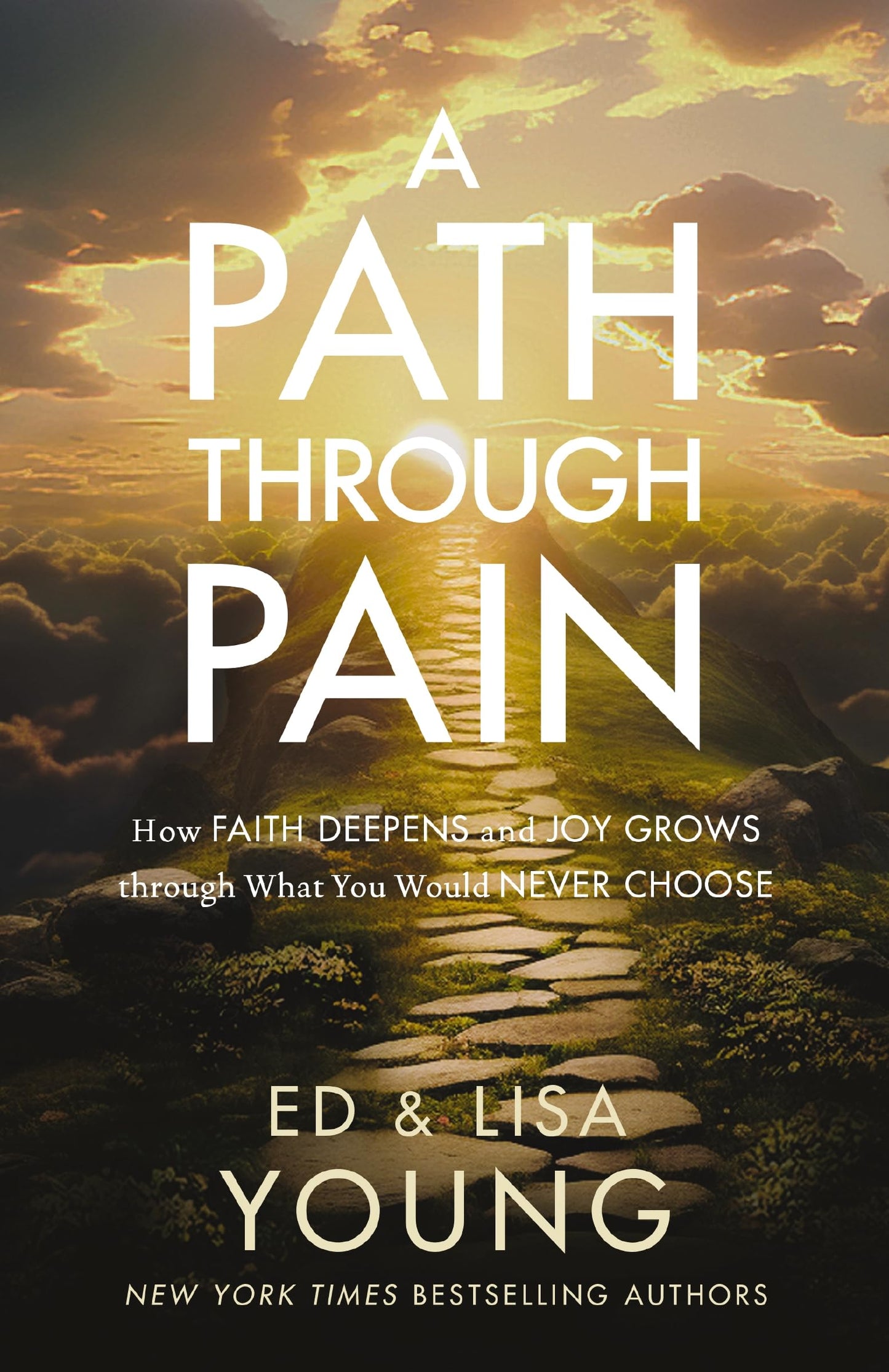 A Path through Pain: How Faith Deepens and Joy Grows through What You Would Never Choose The Happy Book Stack