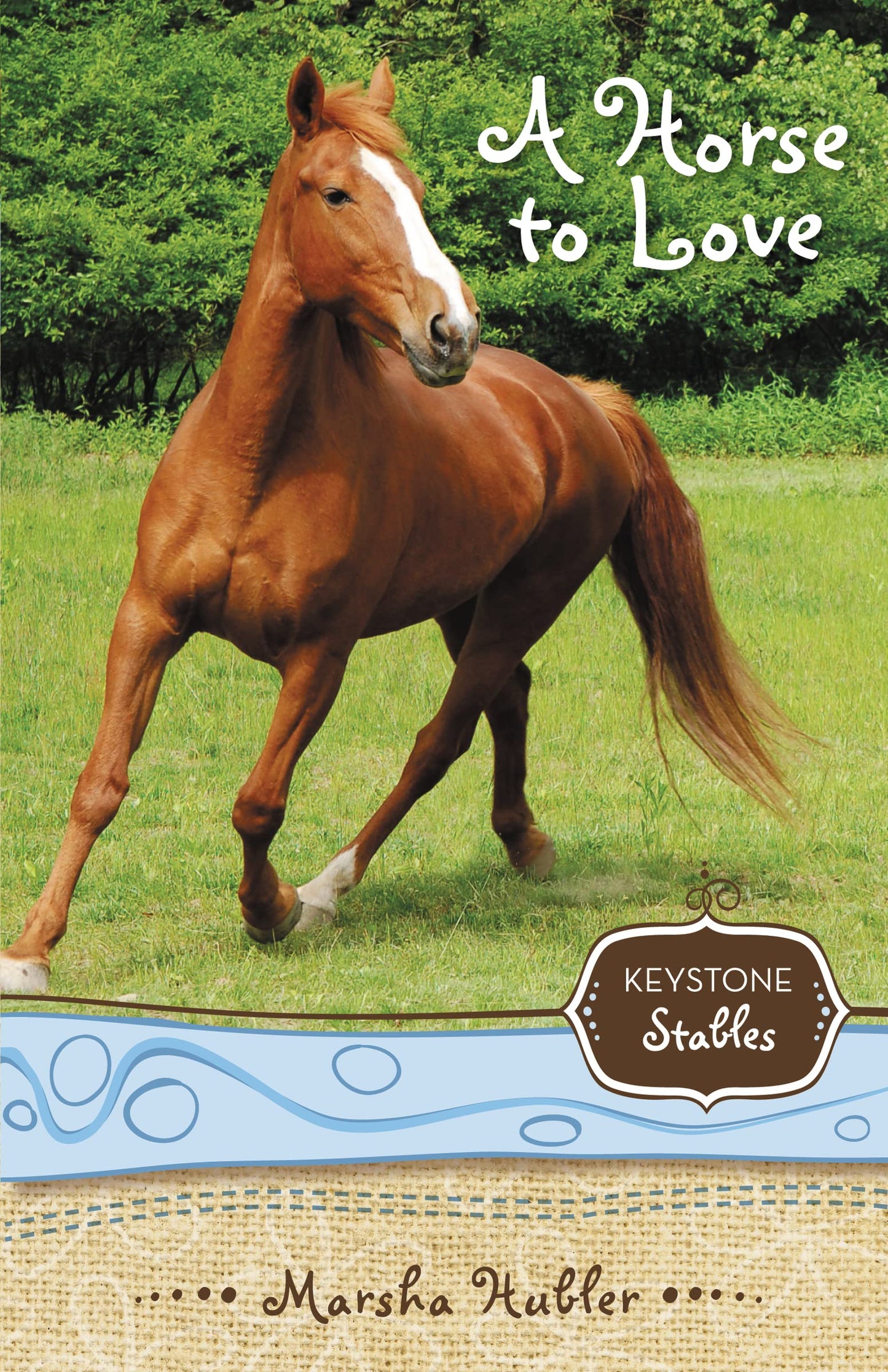 A Horse to Love (1) (Keystone Stables) The Happy Book Stack