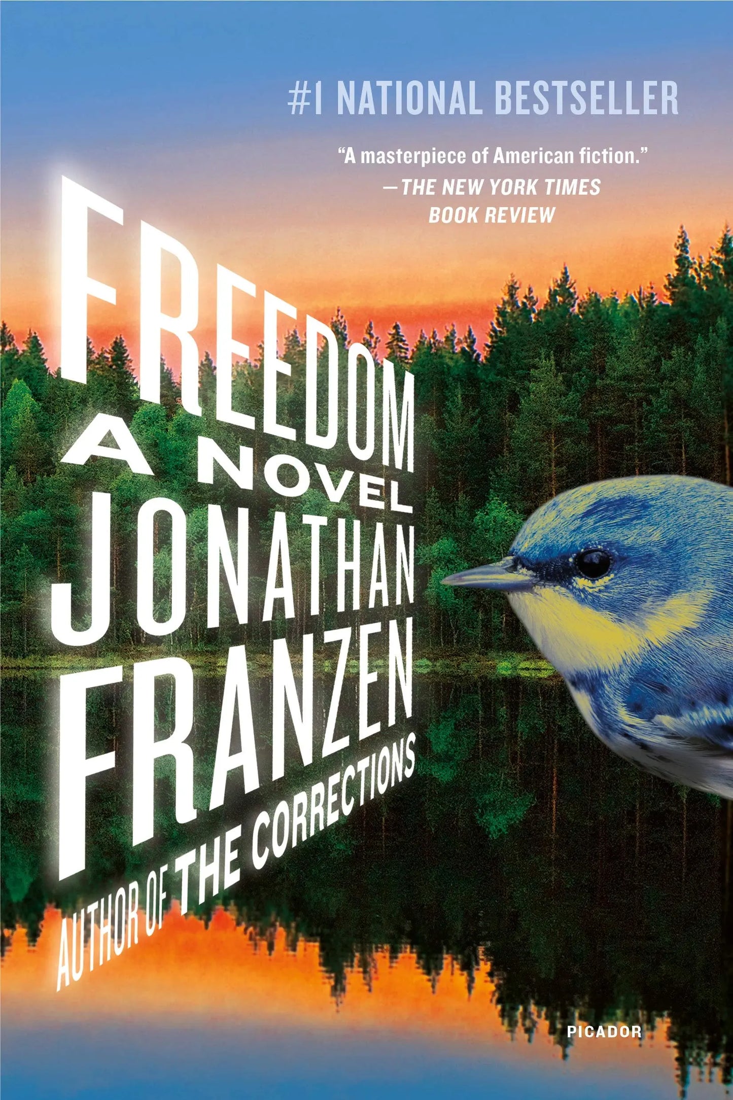 Freedom: A Novel The Happy Book Stack