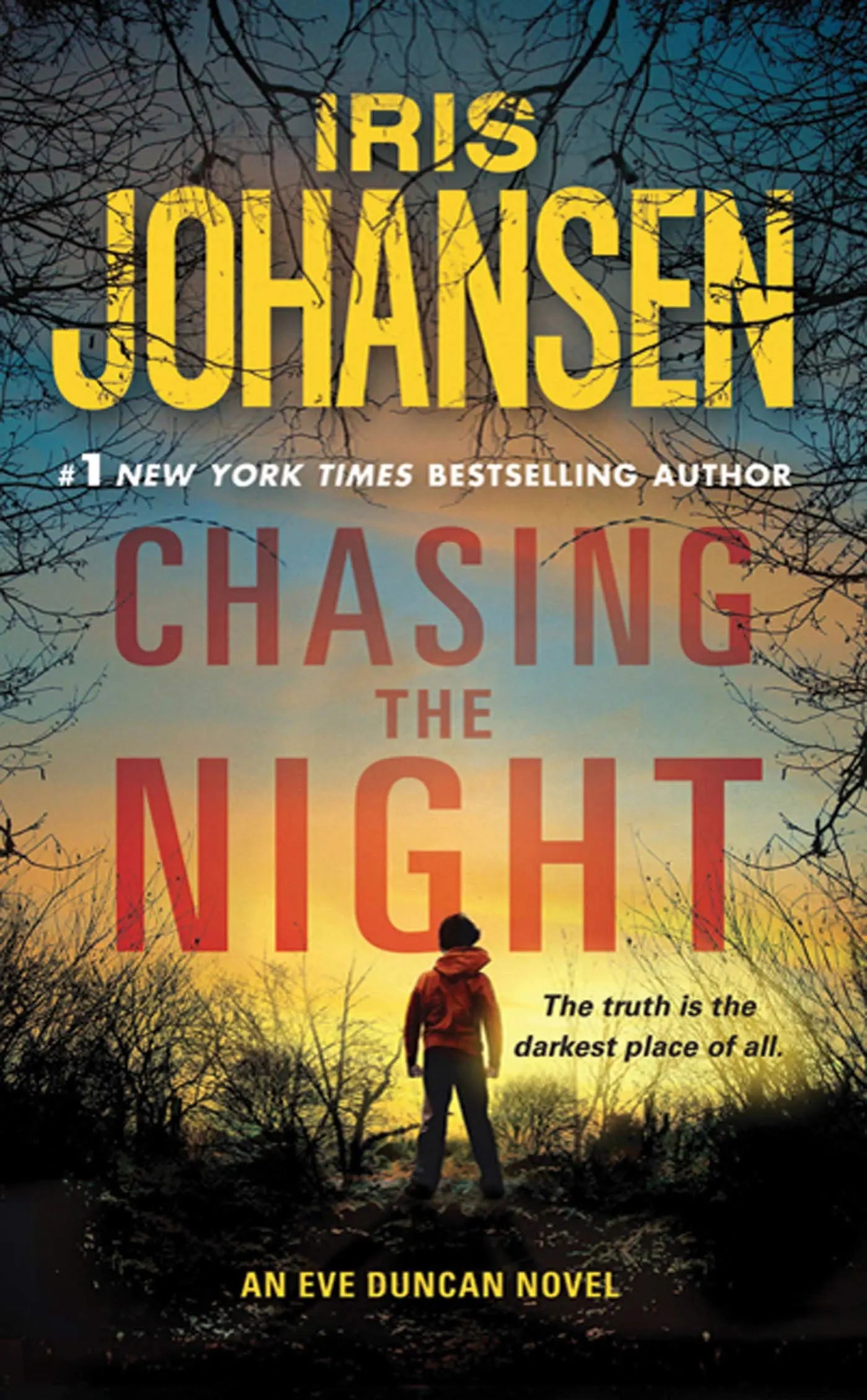 Chasing the Night: An Eve Duncan Novel (Eve Duncan, 11) The Happy Book Stack