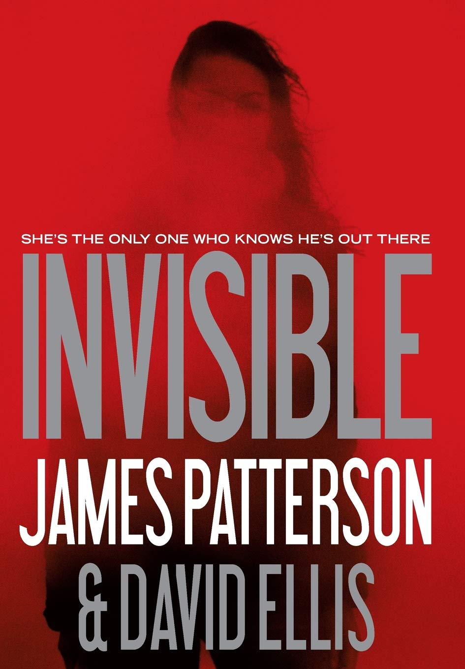 Invisible (Invisible, 1) The Happy Book Stack