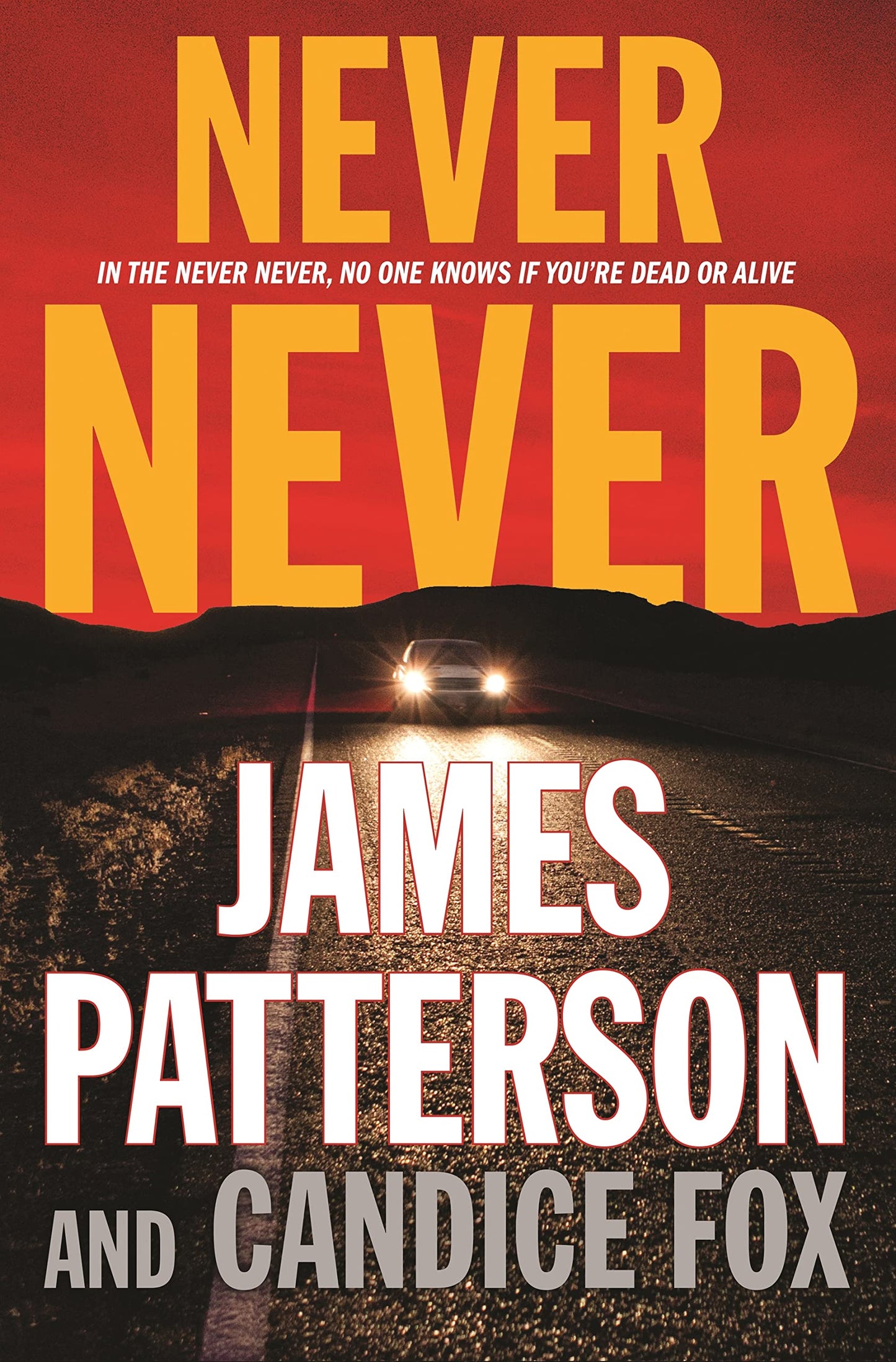 Never Never (Harriet Blue, 1) The Happy Book Stack