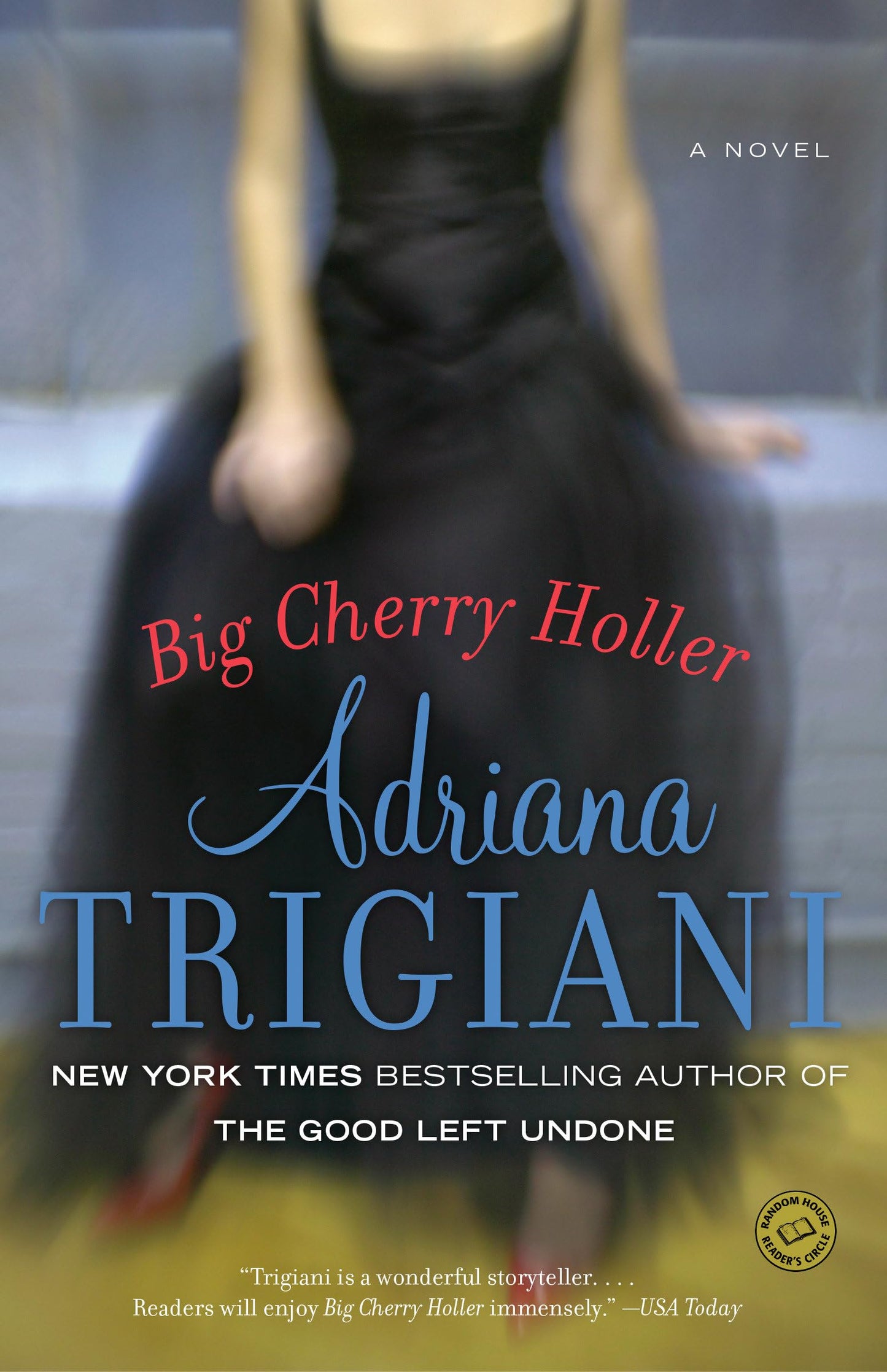 Big Cherry Holler: A Novel (Big Stone Gap) The Happy Book Stack