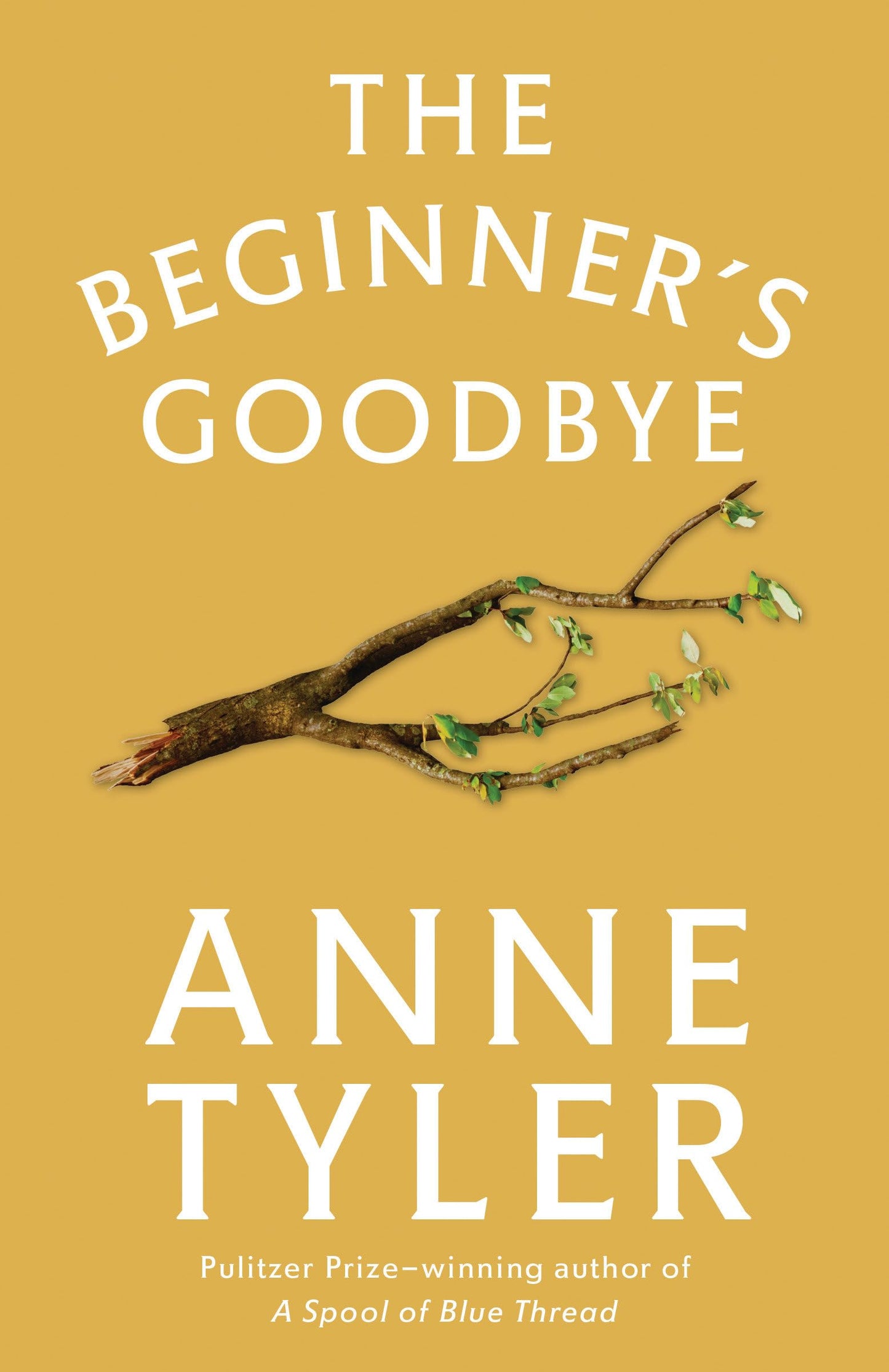 The Beginner's Goodbye: A Novel The Happy Book Stack