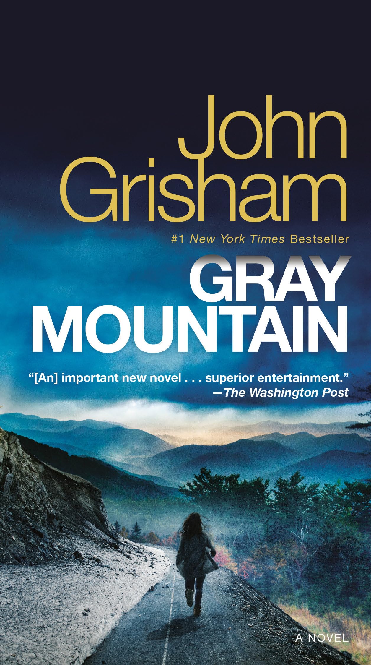 Gray Mountain: A Novel The Happy Book Stack