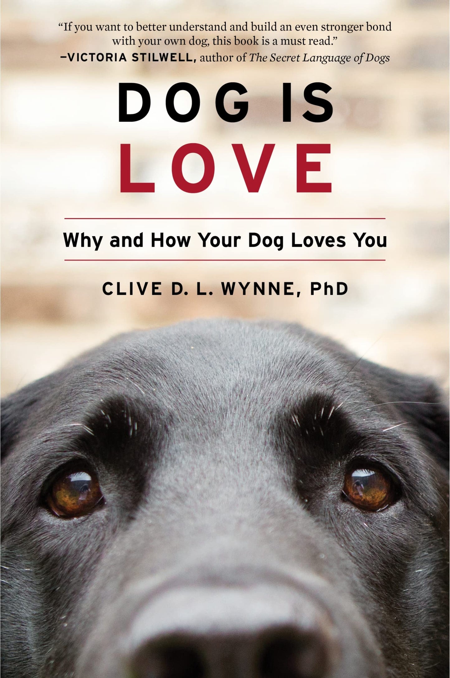 Dog Is Love: Why and How Your Dog Loves You The Happy Book Stack