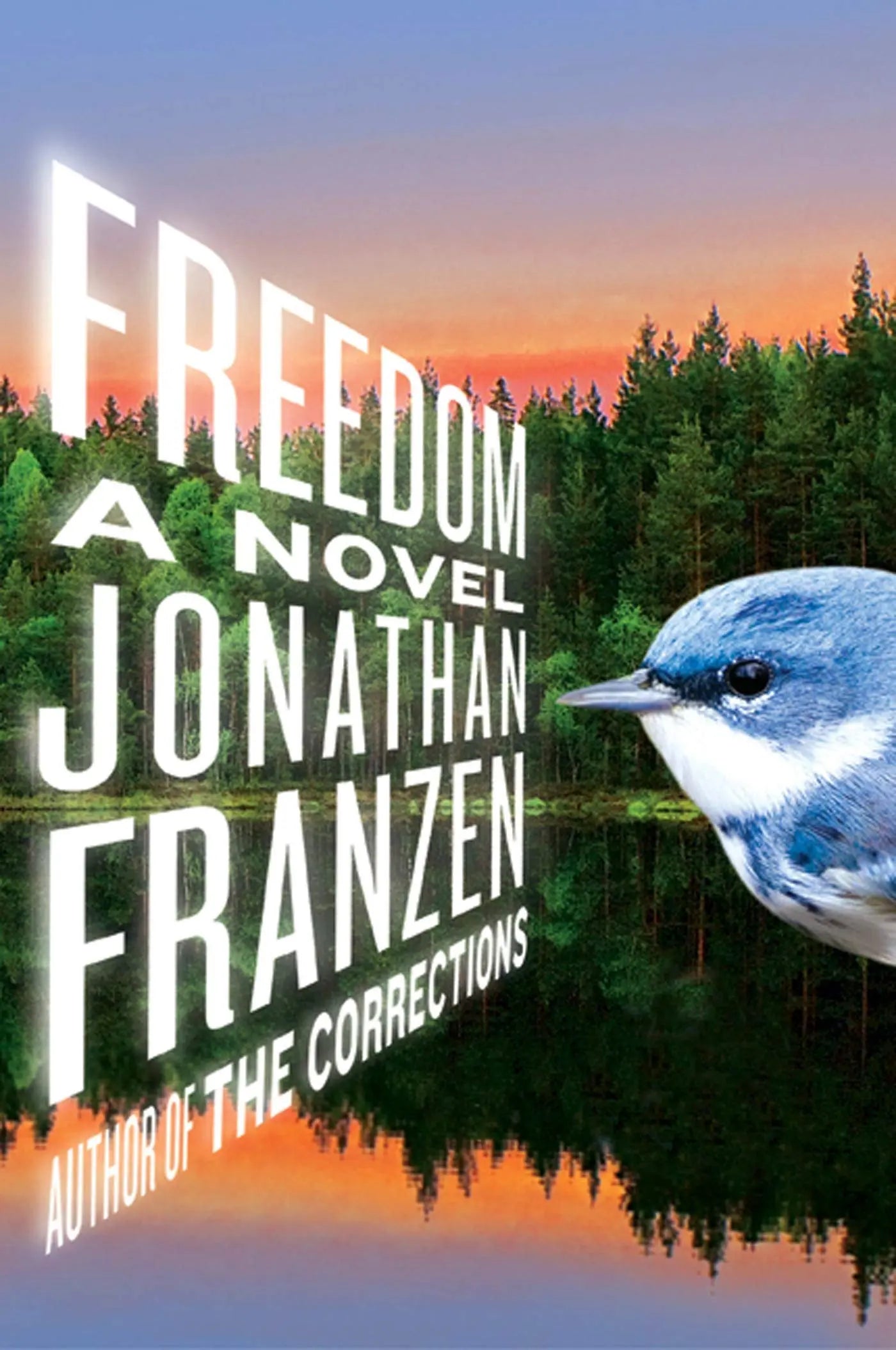 Freedom: A Novel The Happy Book Stack