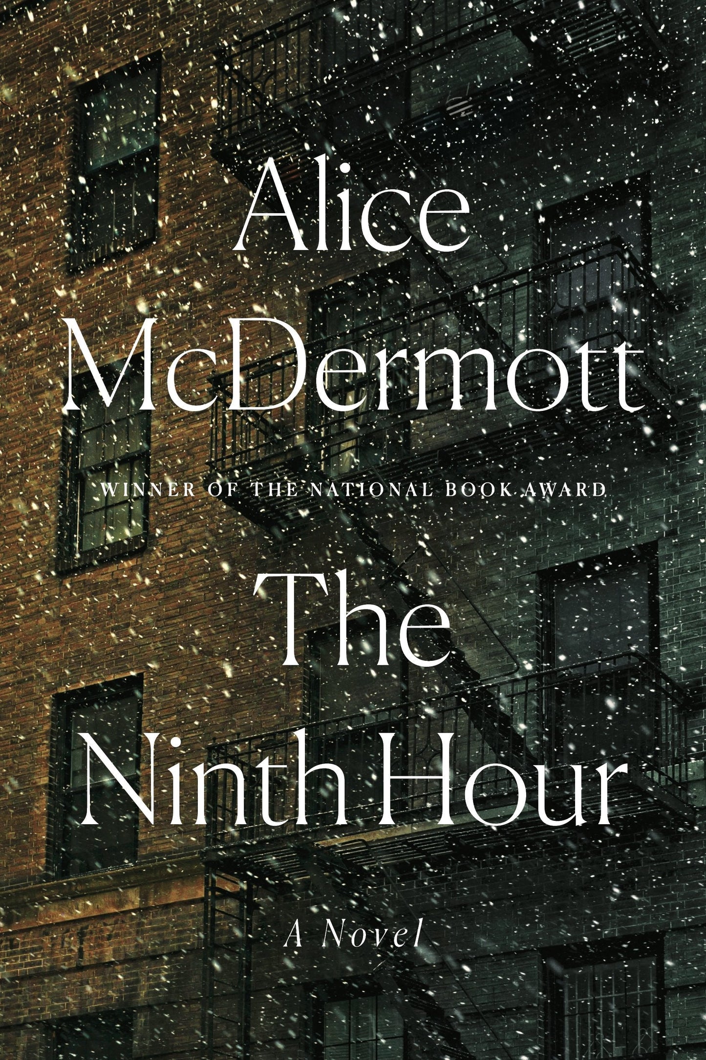 The Ninth Hour: A Novel The Happy Book Stack