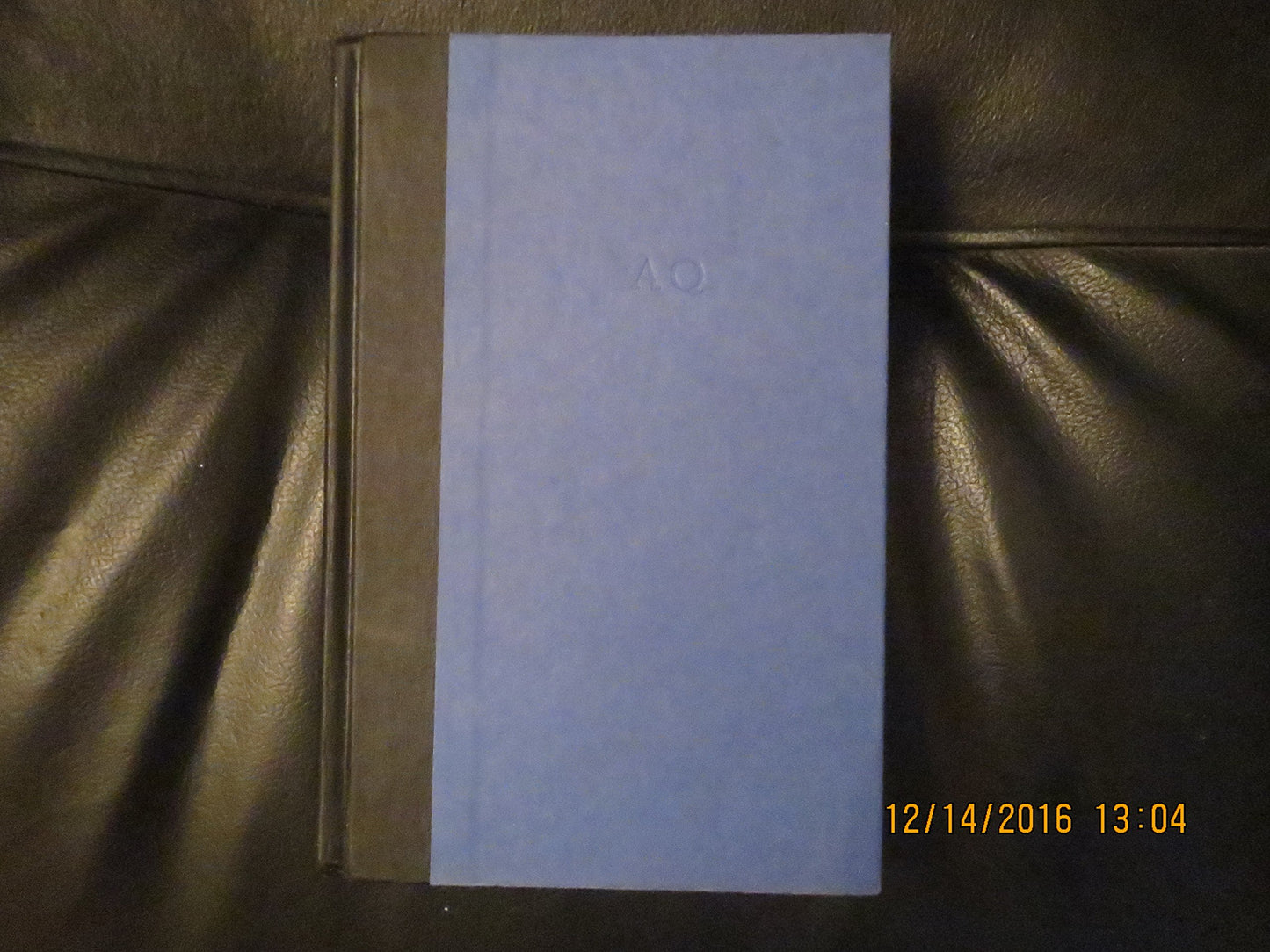 Black and Blue: A Novel The Happy Book Stack