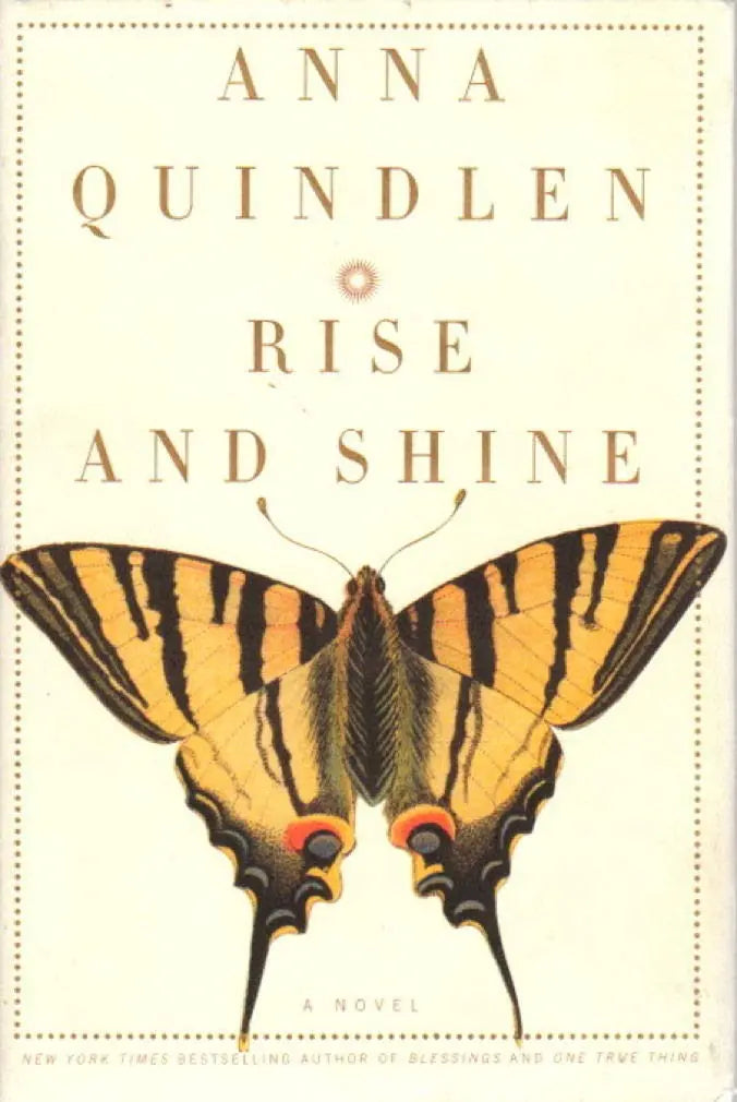 Rise and Shine: A Novel The Happy Book Stack