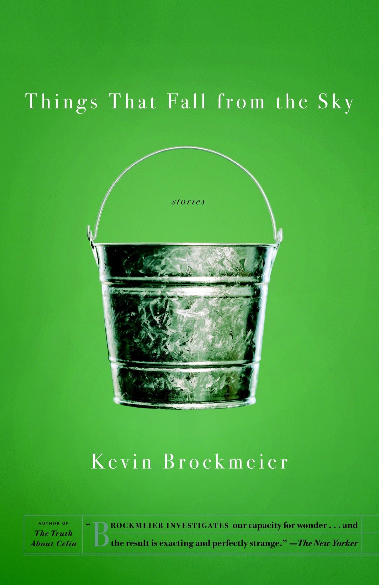 Things that Fall from the Sky The Happy Book Stack