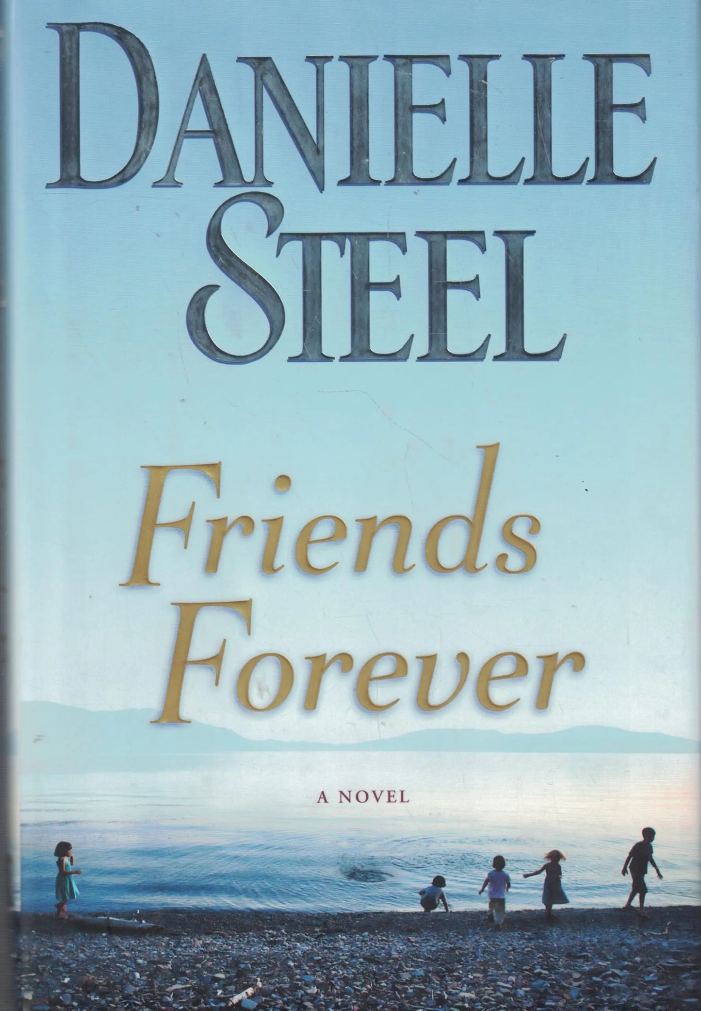 Friends Forever: A Novel The Happy Book Stack