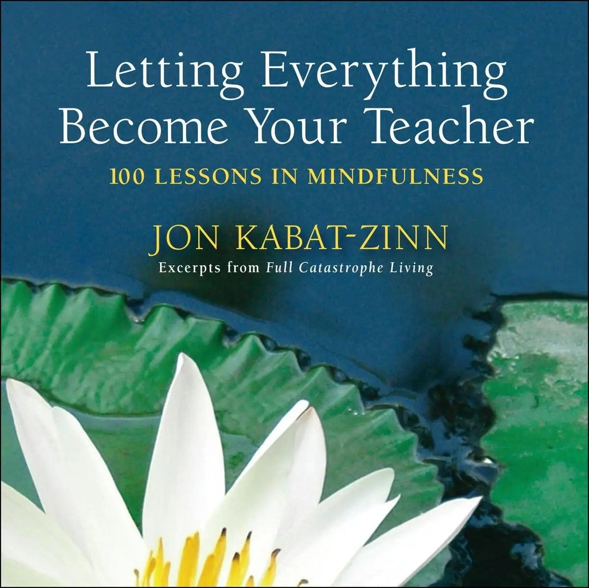 Letting Everything Become Your Teacher: 100 Lessons in Mindfulness The Happy Book Stack