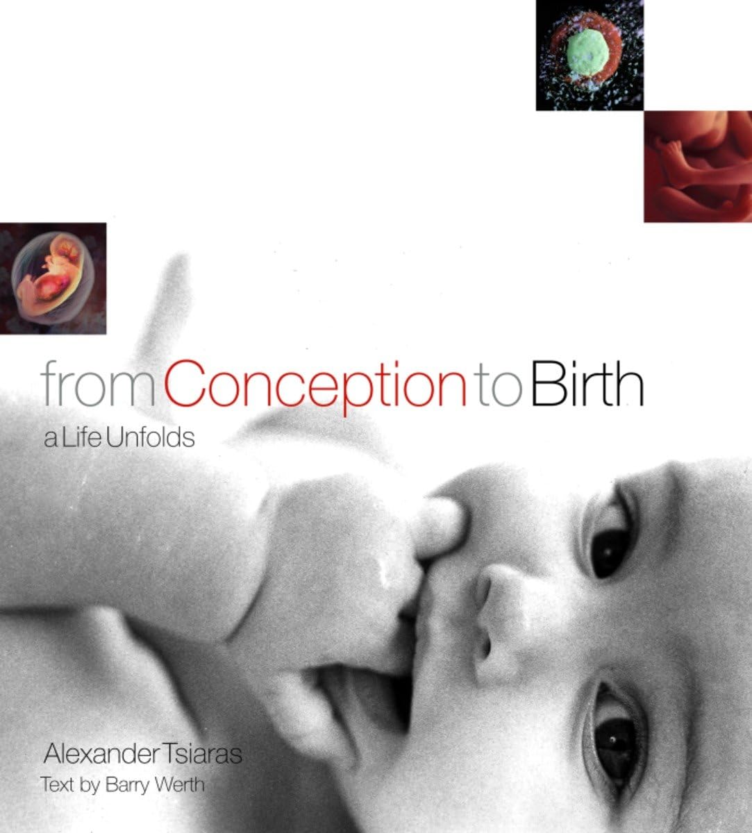 From Conception to Birth: A Life Unfolds - 336