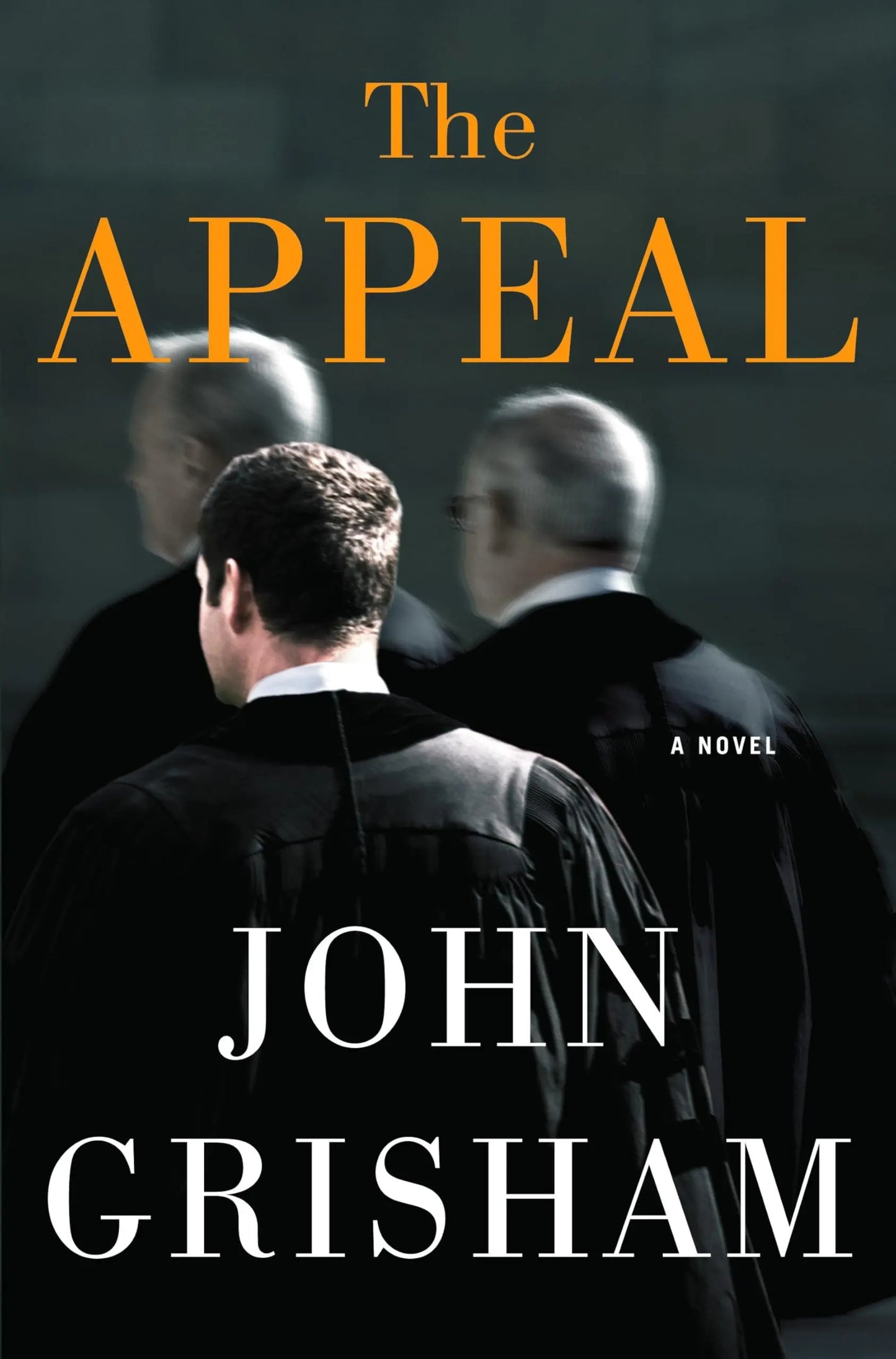 The Appeal: A Novel The Happy Book Stack