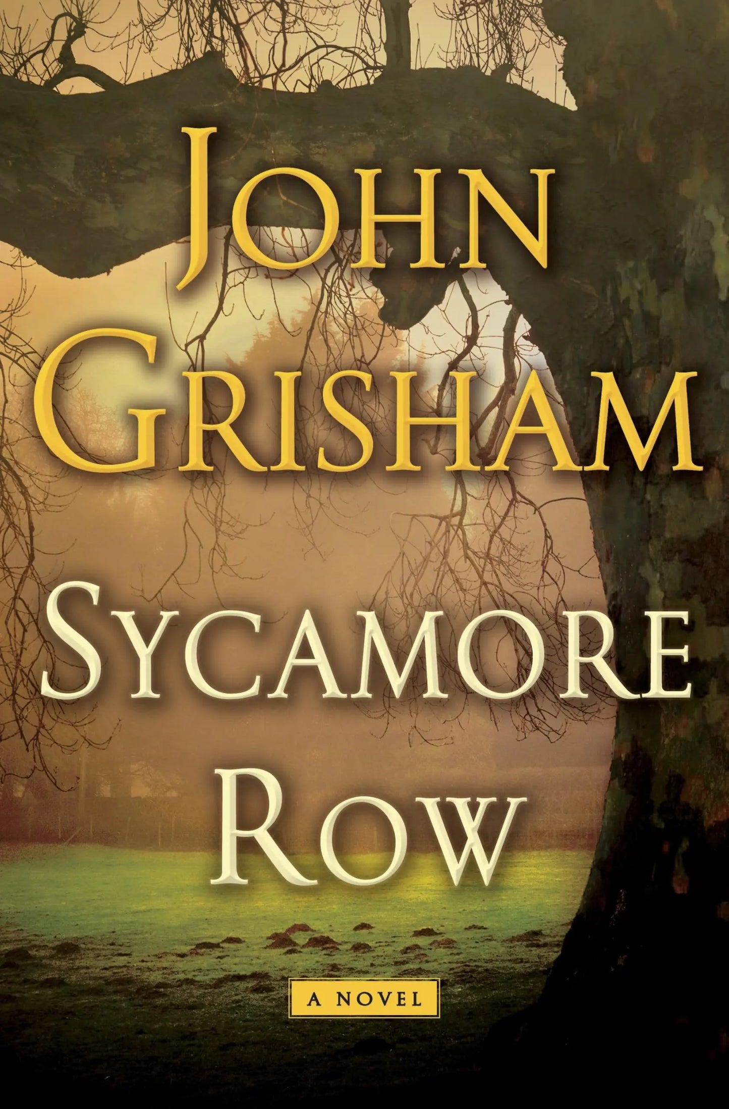 Sycamore Row (Jake Brigance) The Happy Book Stack