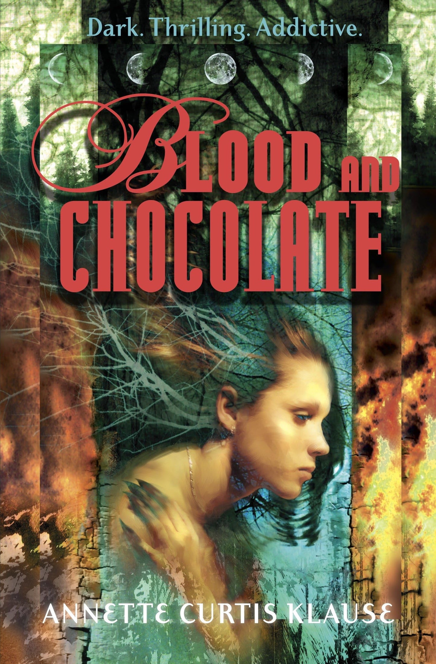 Blood and Chocolate The Happy Book Stack