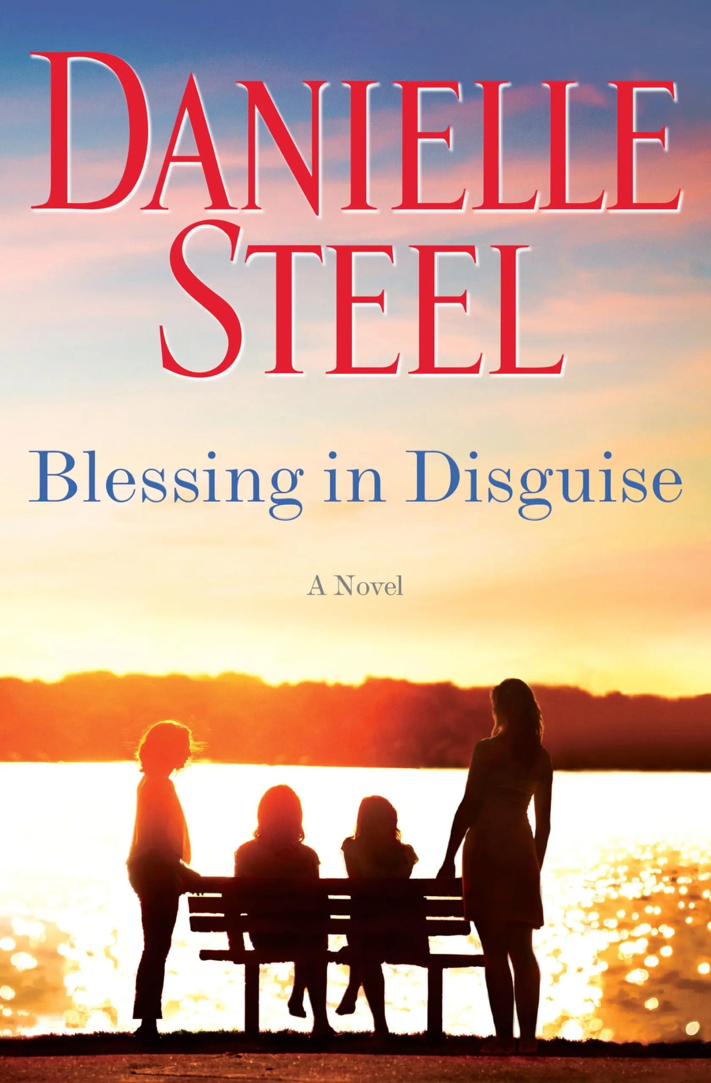 Blessing in Disguise: A Novel The Happy Book Stack